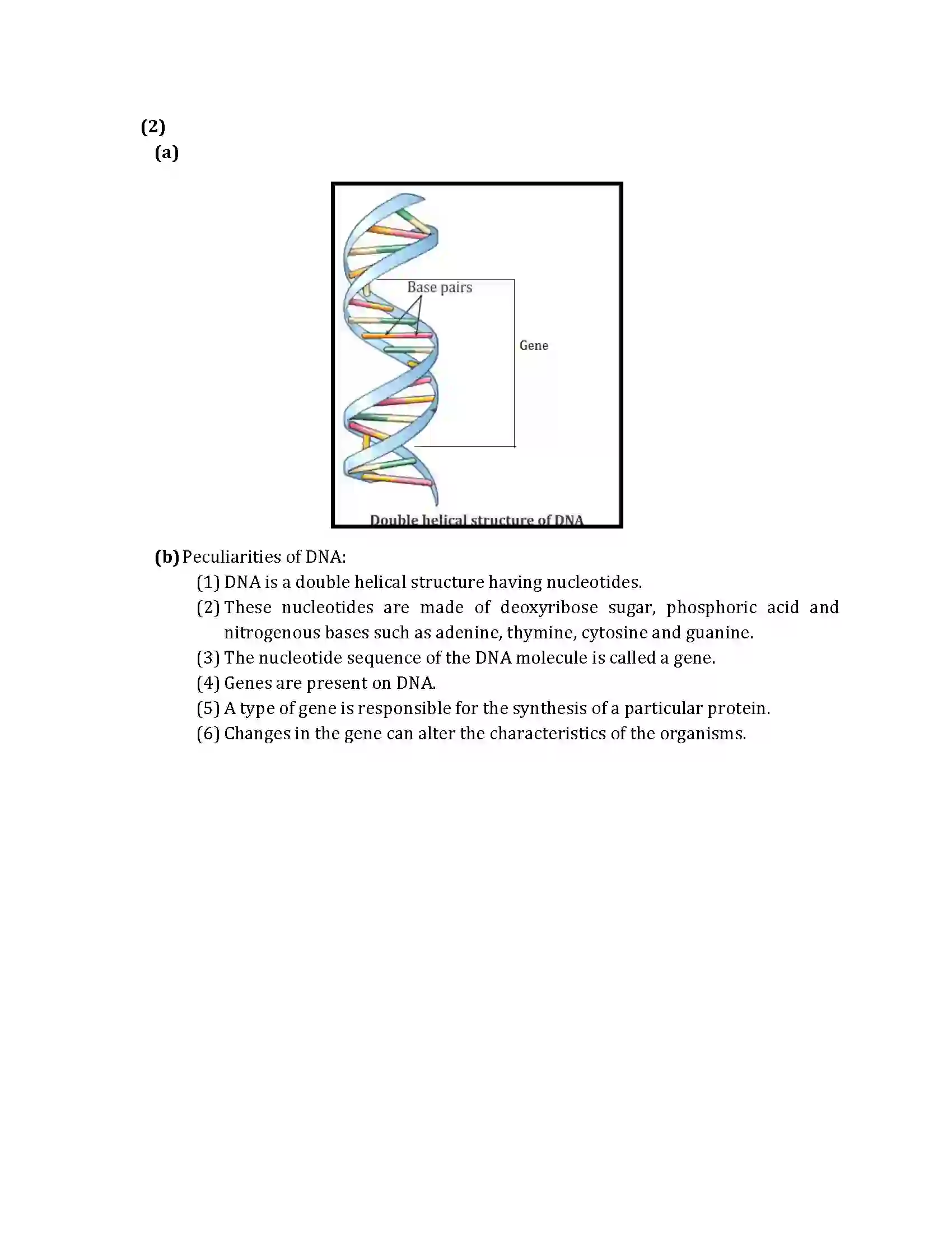 Maharashtra Board Class 10th 2013 Science & Technology - 2013 Previous Year Paper 22