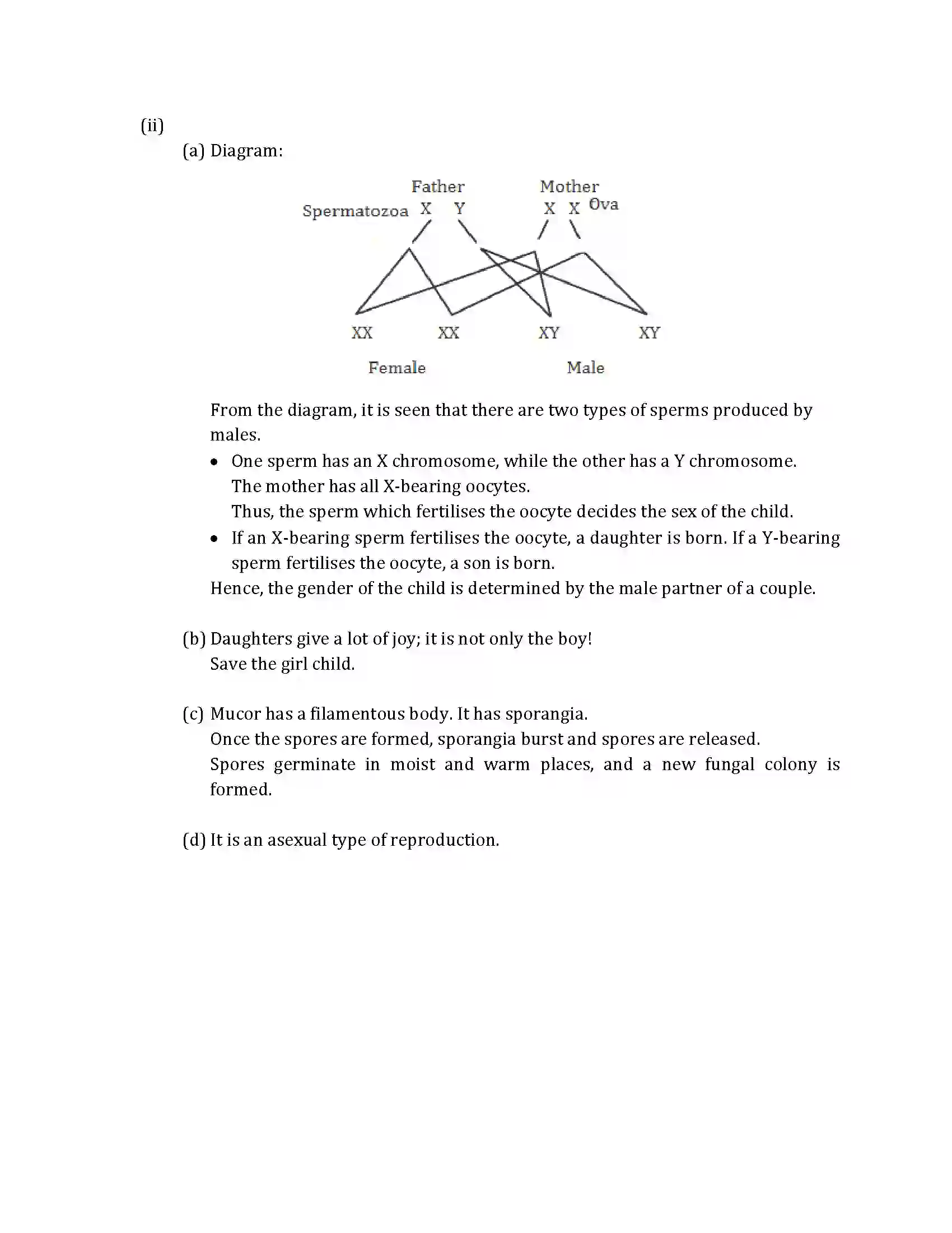 Maharashtra Board Class 10th 2019 Science & Technology - 2019 - Paper-2 Previous Year Paper 13