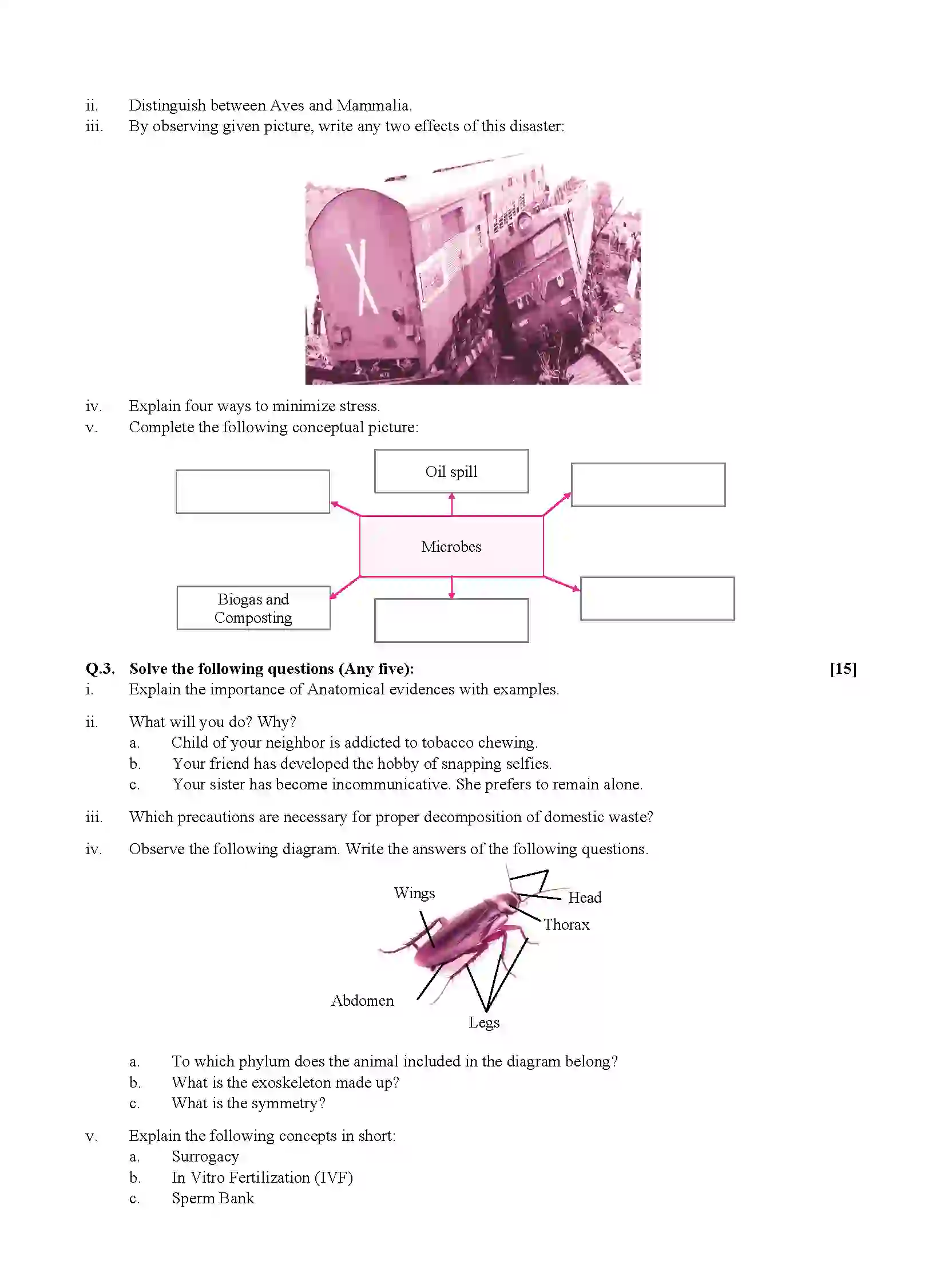 Maharashtra Board Class 10th 2020 Science - March 2020 - Paper-2 Previous Year Paper 2