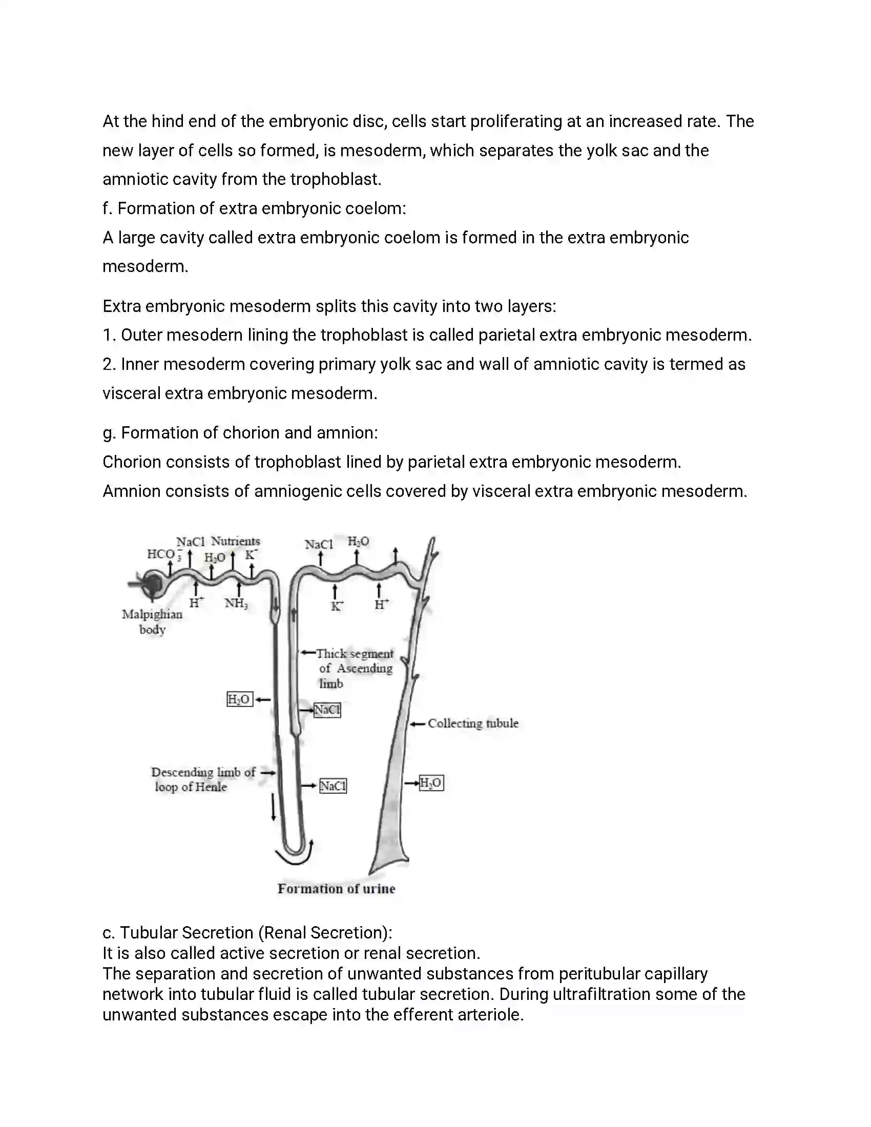 Maharashtra Board Class 12th 2012 Biology - Oct 2012 Previous Year Paper 10