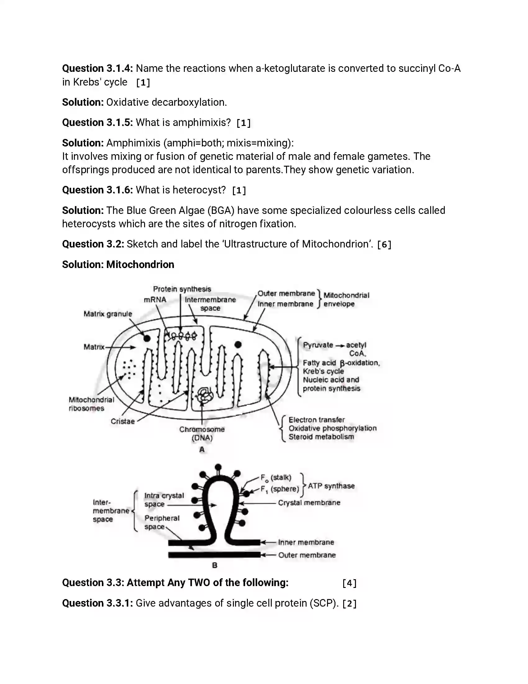 Maharashtra Board Class 12th 2012 Biology - Oct 2012 Previous Year Paper 4