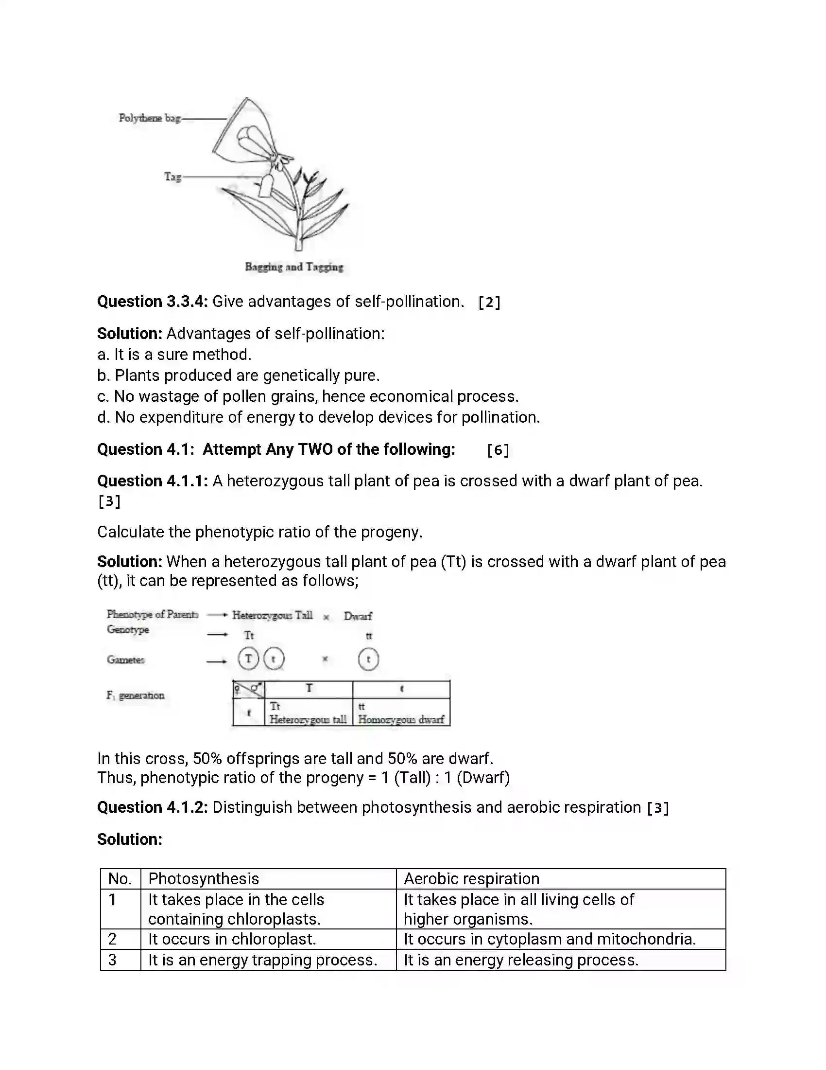 Maharashtra Board Class 12th 2012 Biology - Oct 2012 Previous Year Paper 6