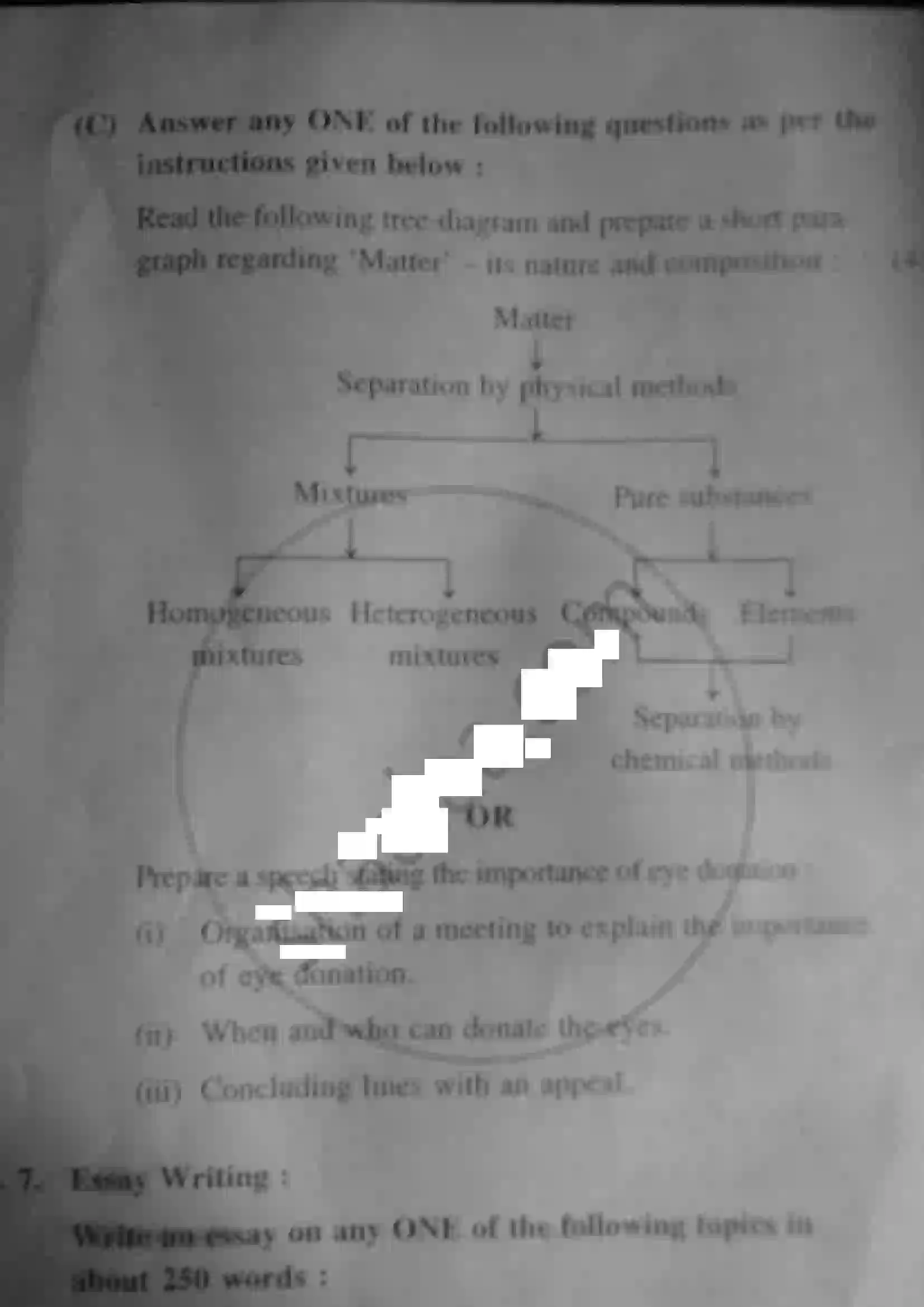 Maharashtra Board Class 12th 2013 English - March 2013 Previous Year Paper 12