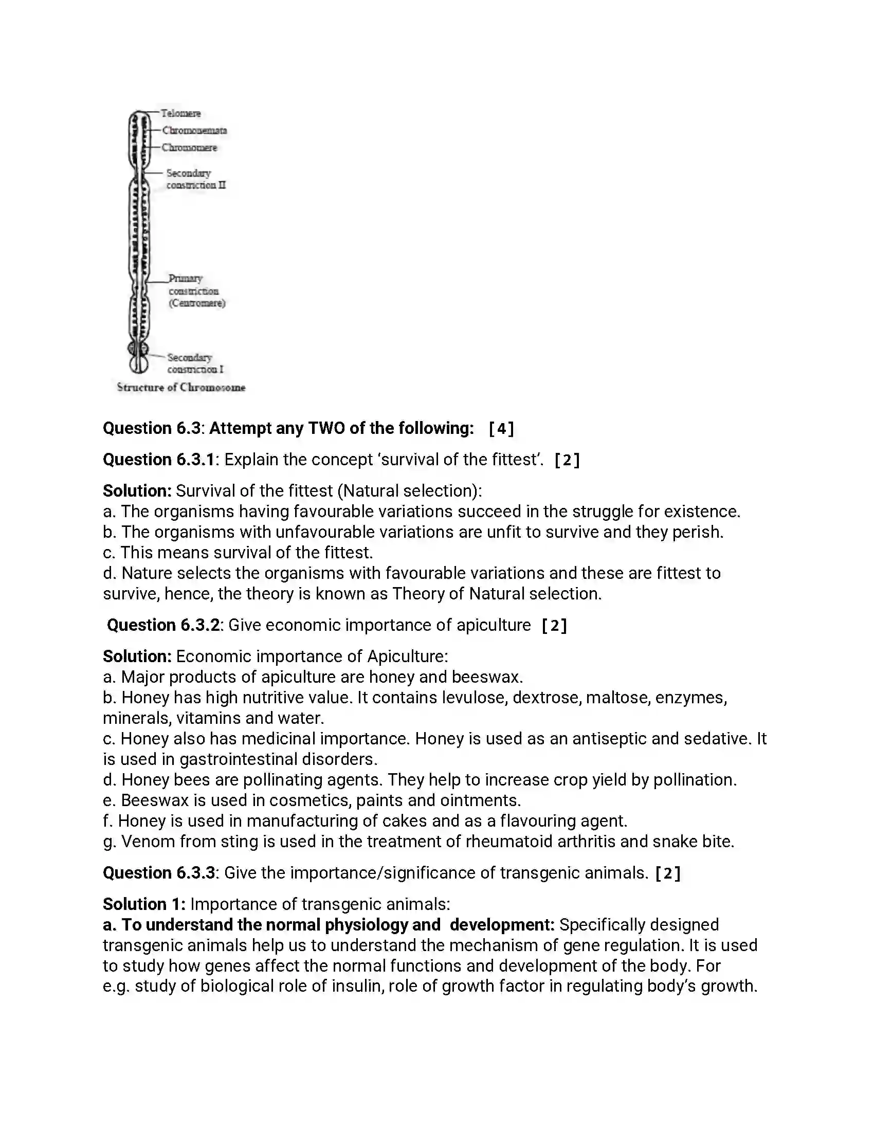 Maharashtra Board Class 12th 2014 Biology - Oct 2014 Previous Year Paper 14
