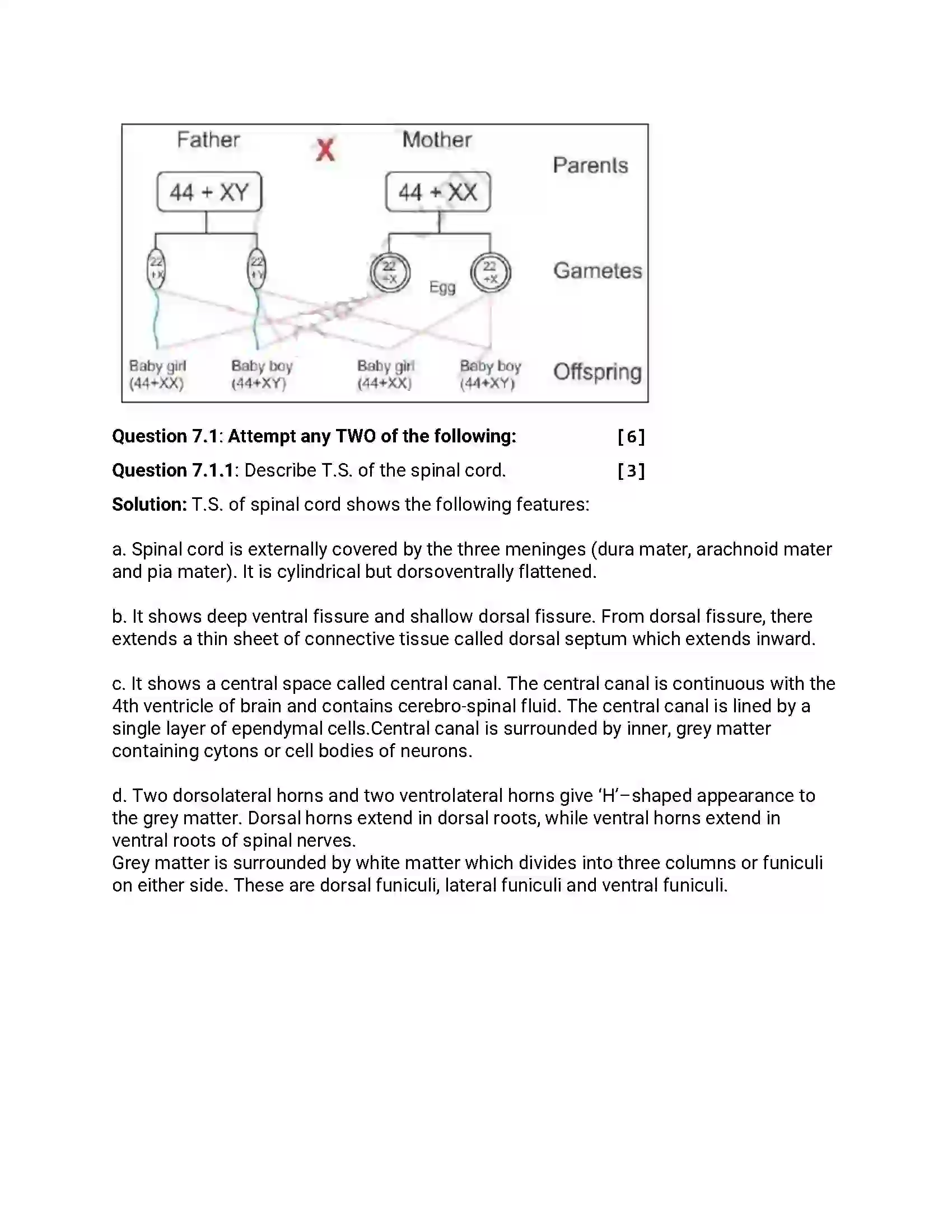 Maharashtra Board Class 12th 2014 Biology - Oct 2014 Previous Year Paper 17