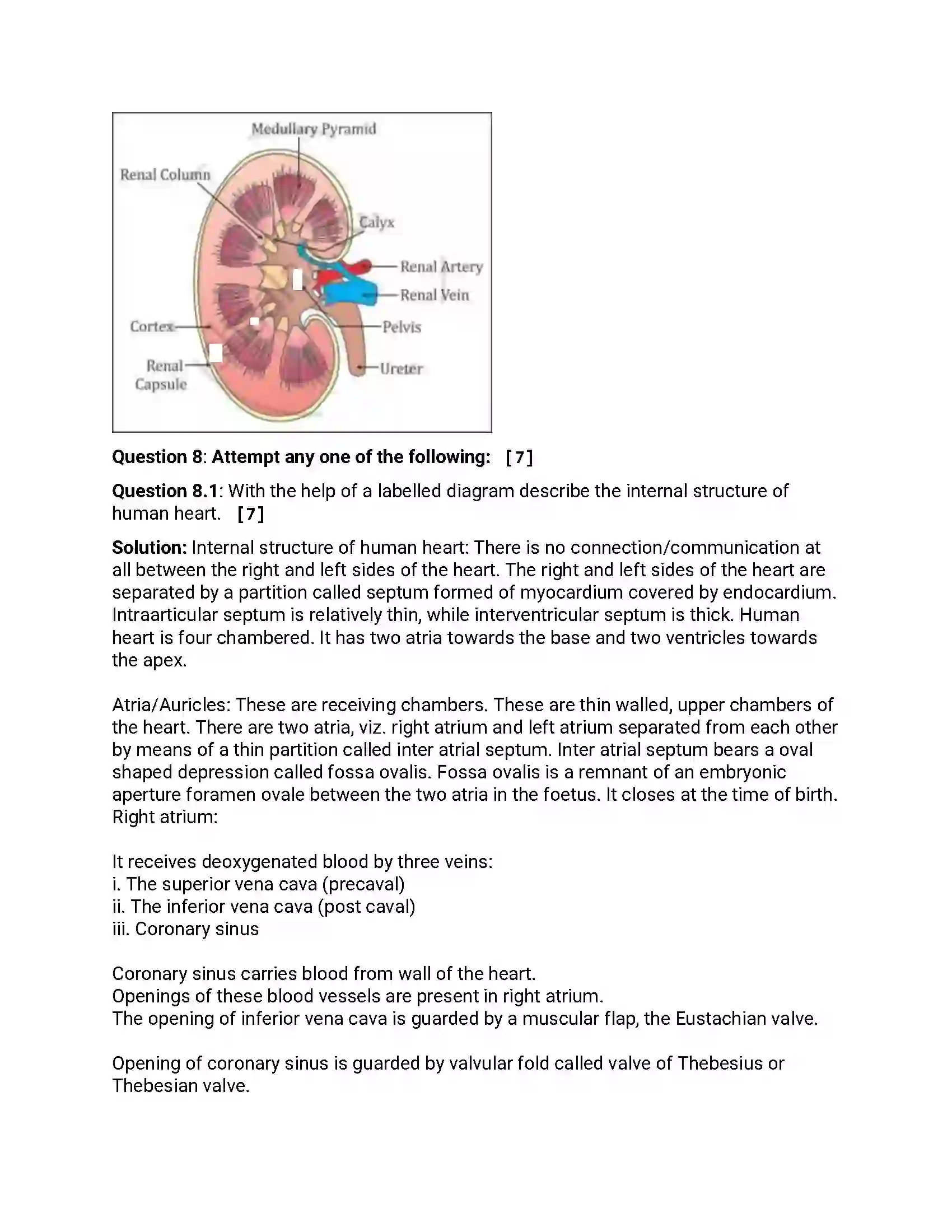 Maharashtra Board Class 12th 2014 Biology - Oct 2014 Previous Year Paper 19