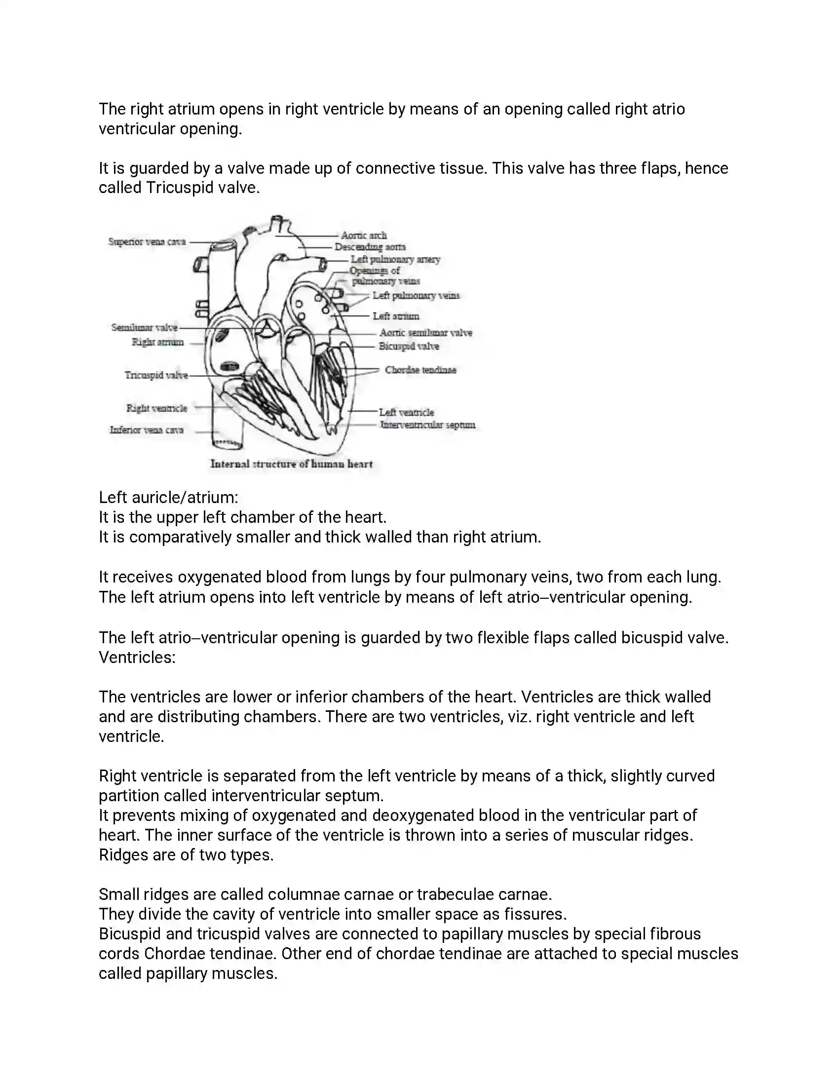 Maharashtra Board Class 12th 2014 Biology - Oct 2014 Previous Year Paper 20