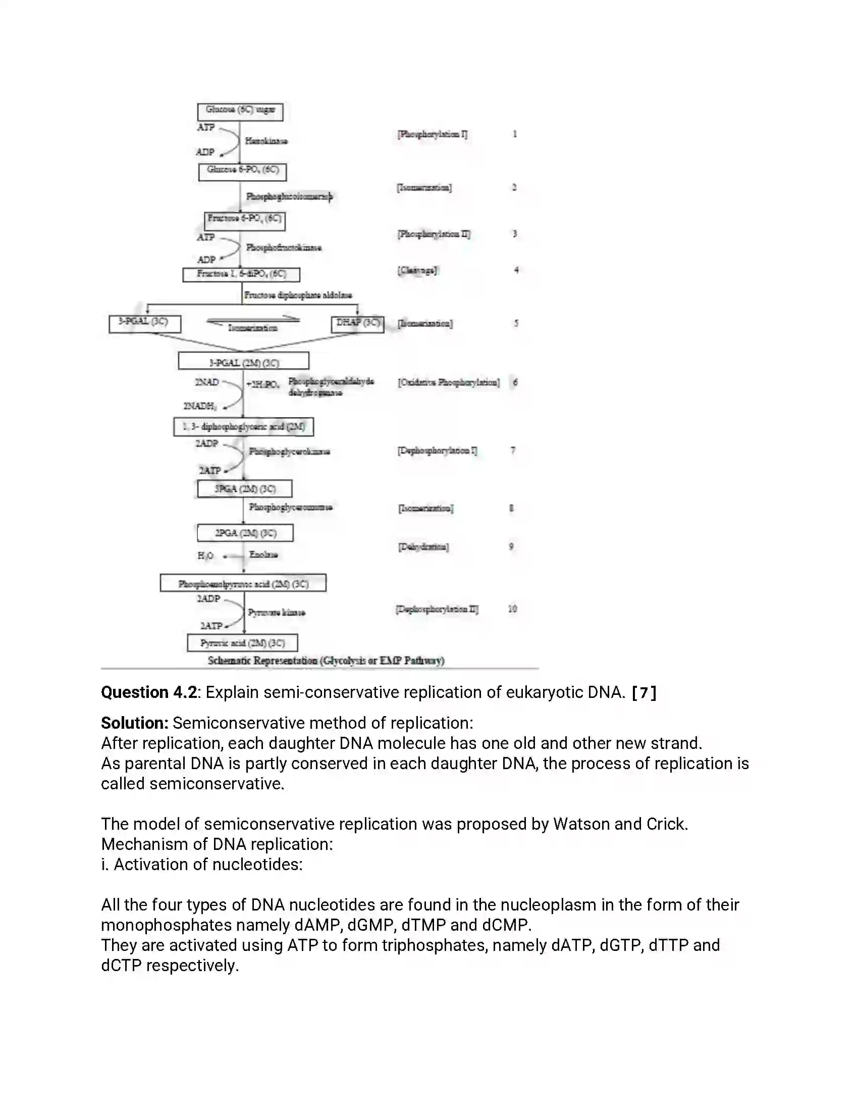 Maharashtra Board Class 12th 2014 Biology - Oct 2014 Previous Year Paper 9