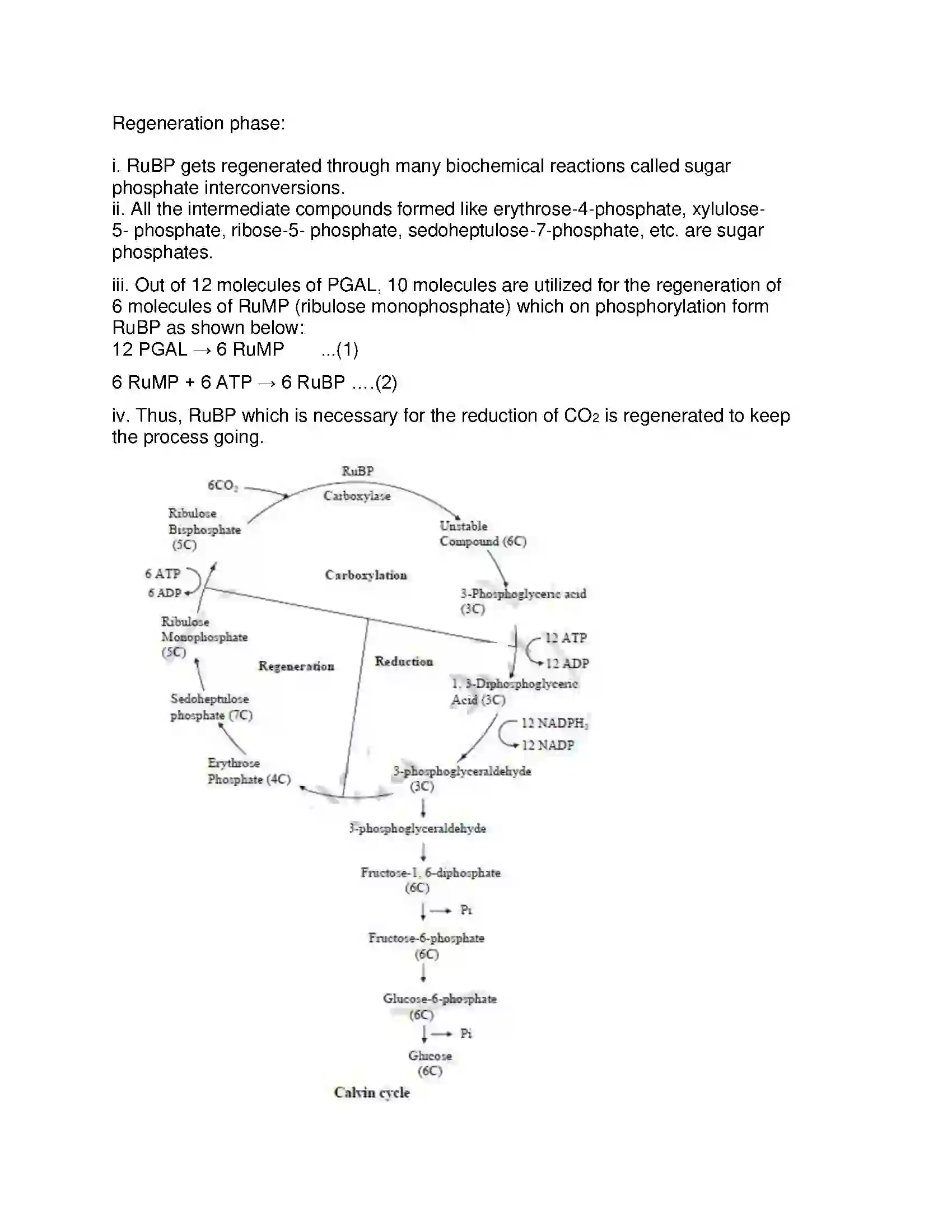 Maharashtra Board Class 12th 2016 Biology - Jul 2016 Previous Year Paper 11