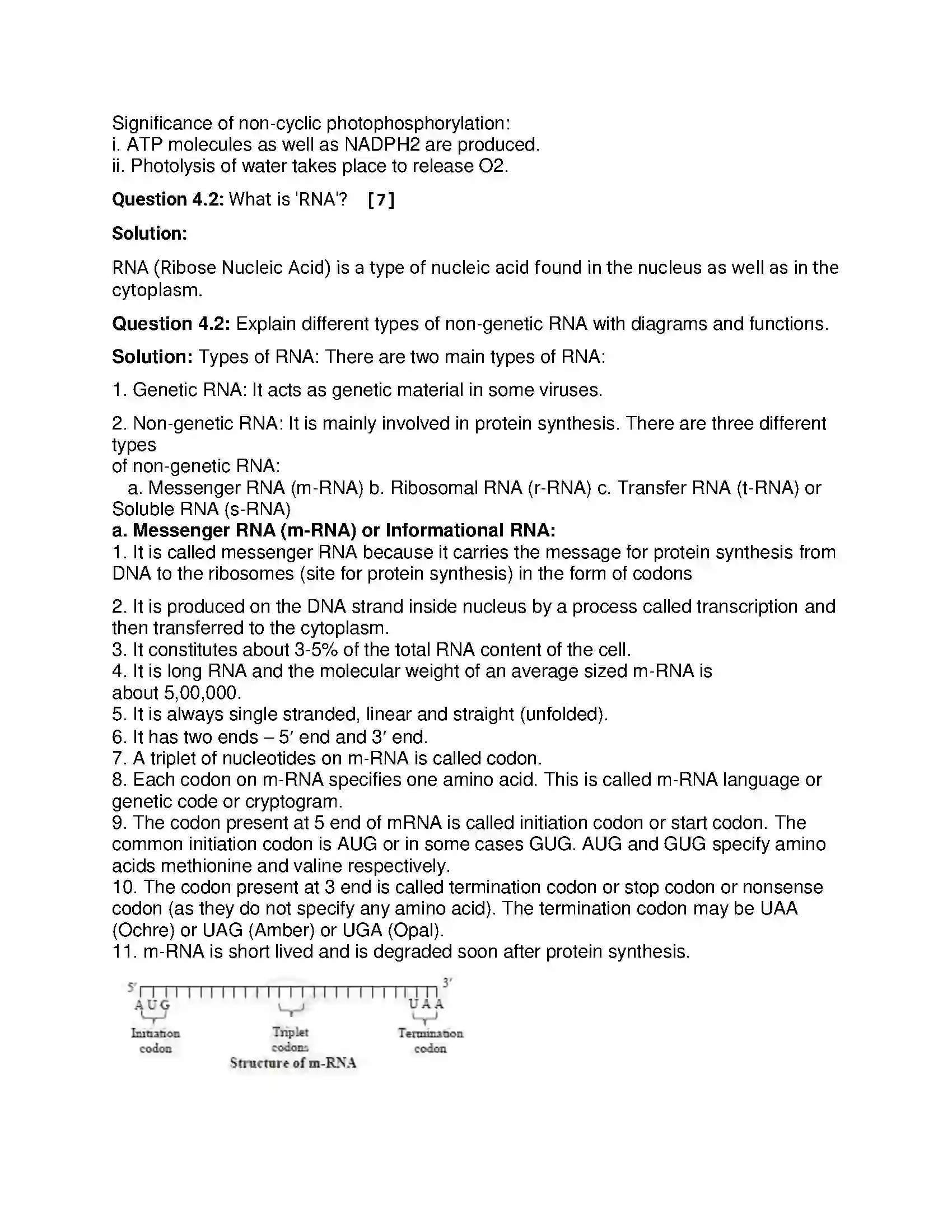 Maharashtra Board Class 12th 2017 Biology - March 2017 Previous Year Paper 11