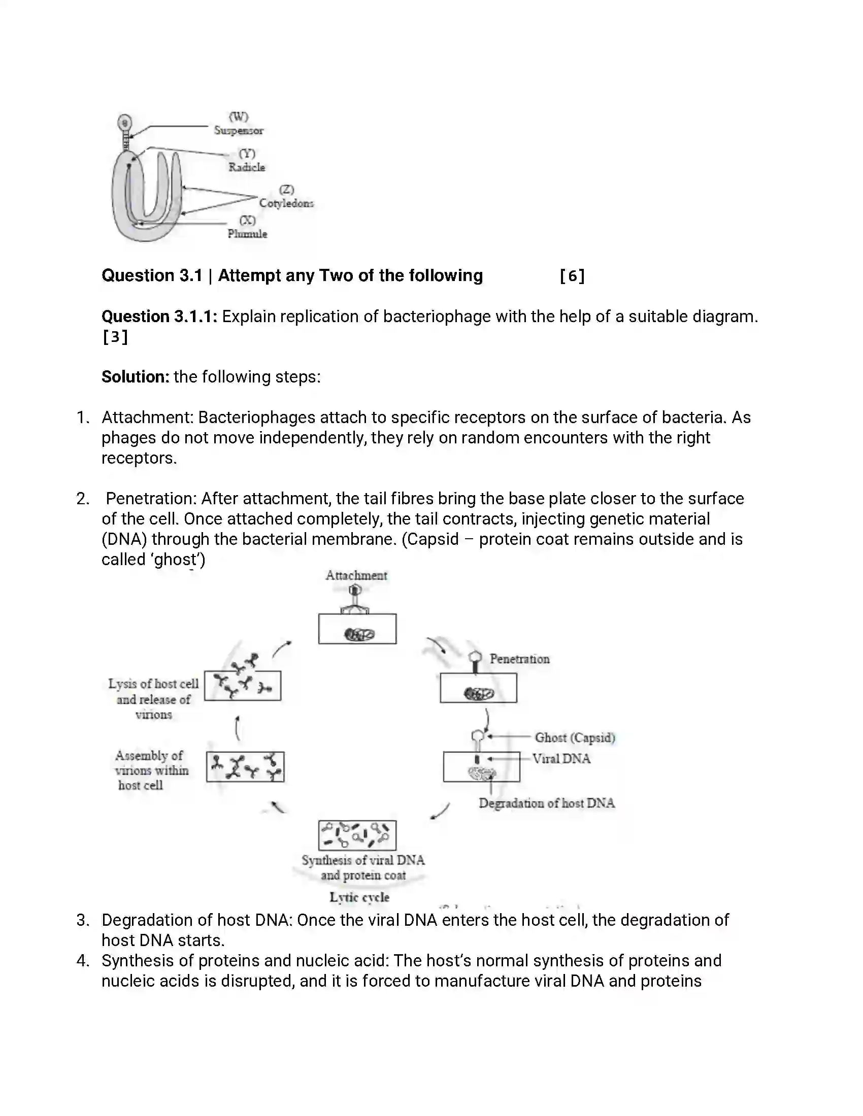 Maharashtra Board Class 12th 2017 Biology - March 2017 Previous Year Paper 7