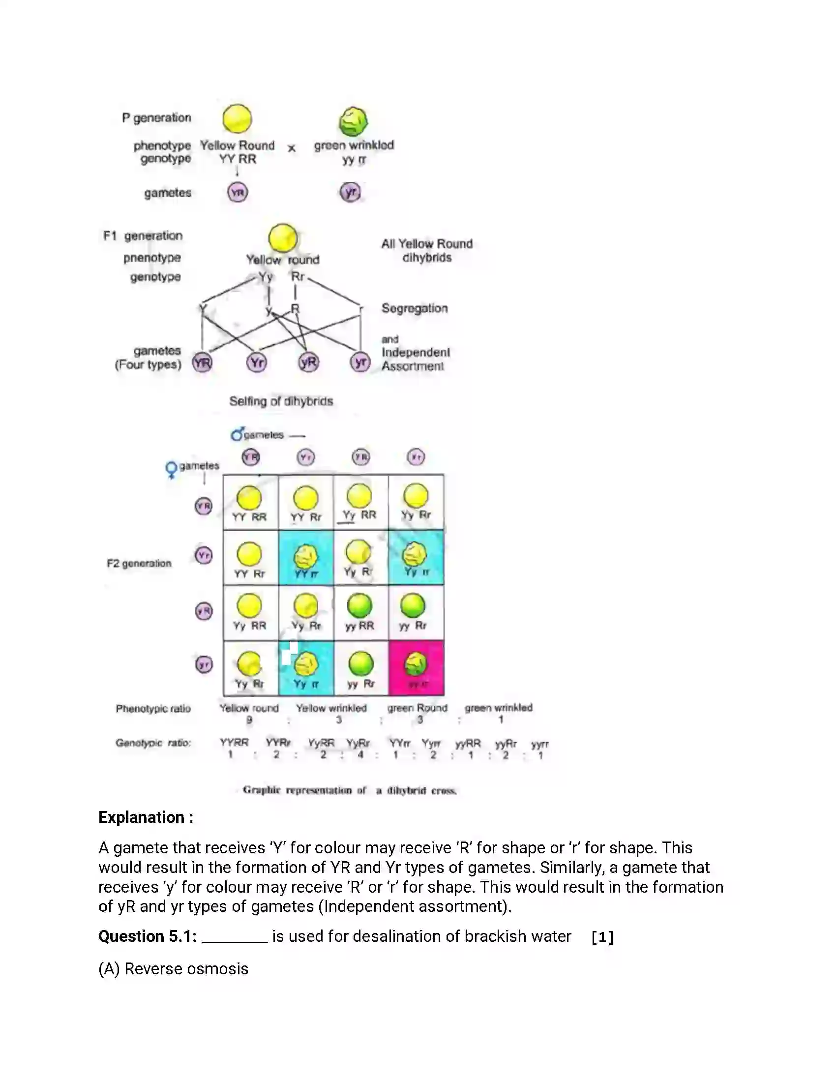 Maharashtra Board Class 12th 2018 Biology March - 2018 Previous Year Paper 10