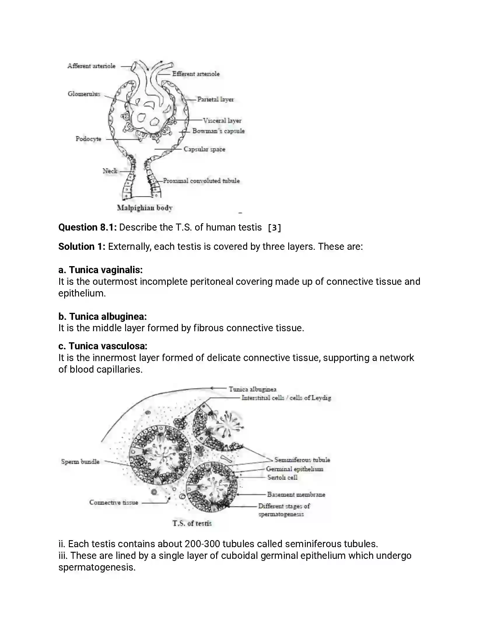 Maharashtra Board Class 12th 2018 Biology March - 2018 Previous Year Paper 17