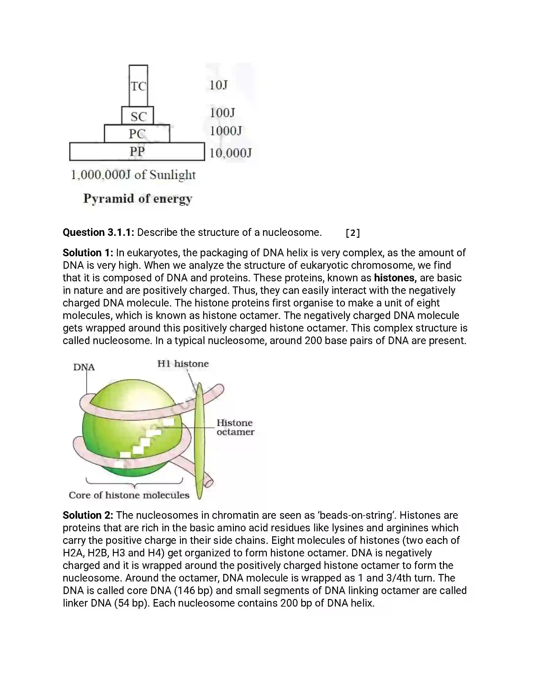Maharashtra Board Class 12th 2018 Biology March - 2018 Previous Year Paper 5