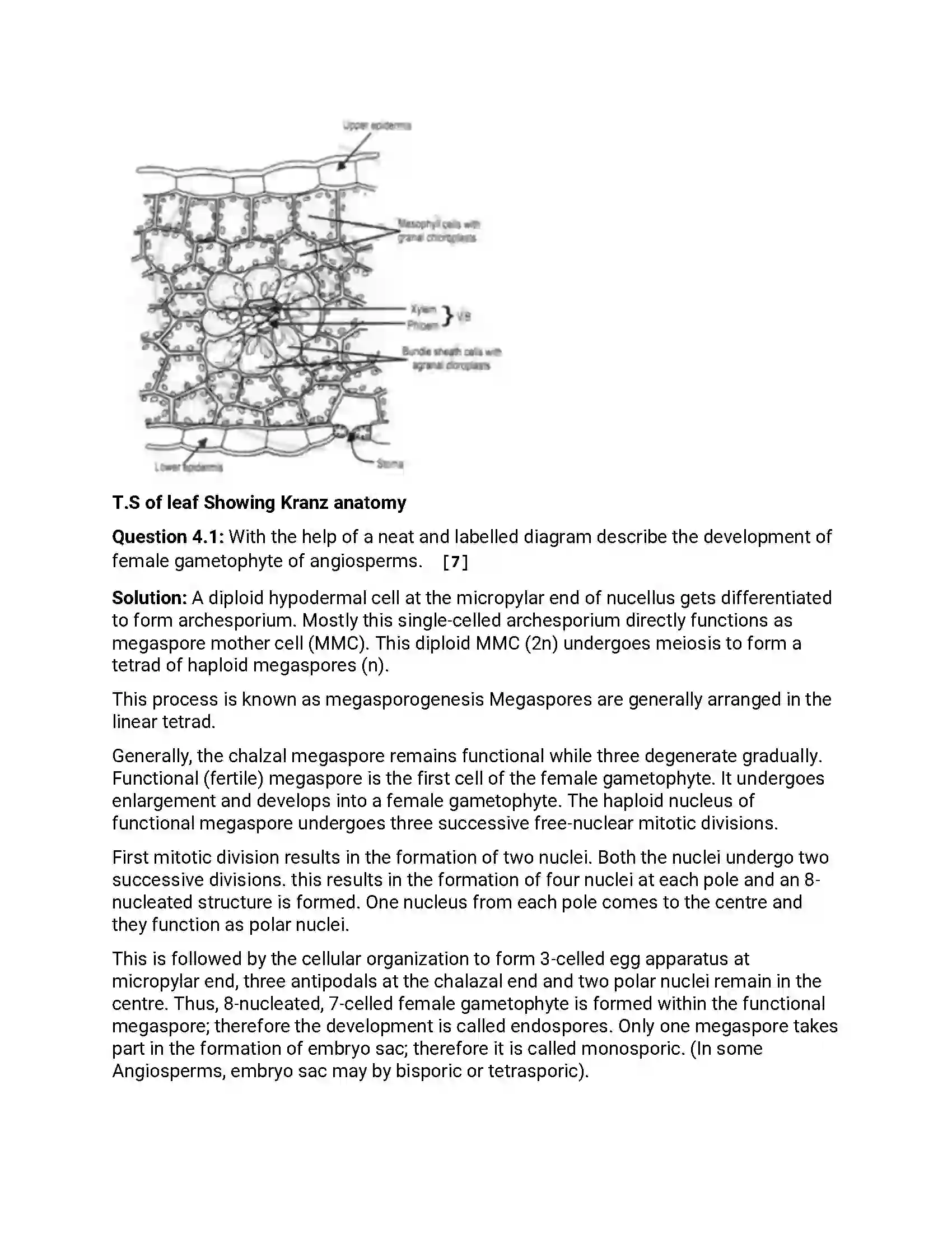 Maharashtra Board Class 12th 2018 Biology March - 2018 Previous Year Paper 8