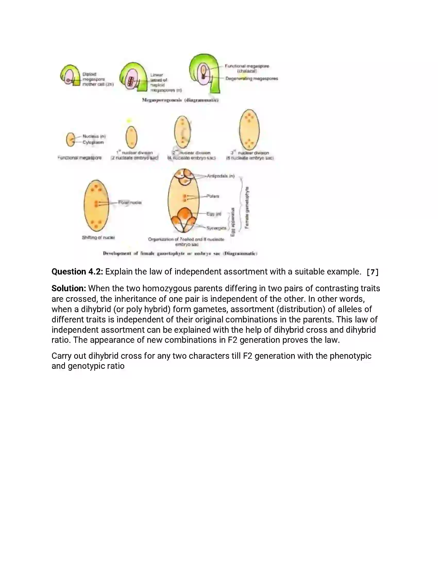 Maharashtra Board Class 12th 2018 Biology March - 2018 Previous Year Paper 9