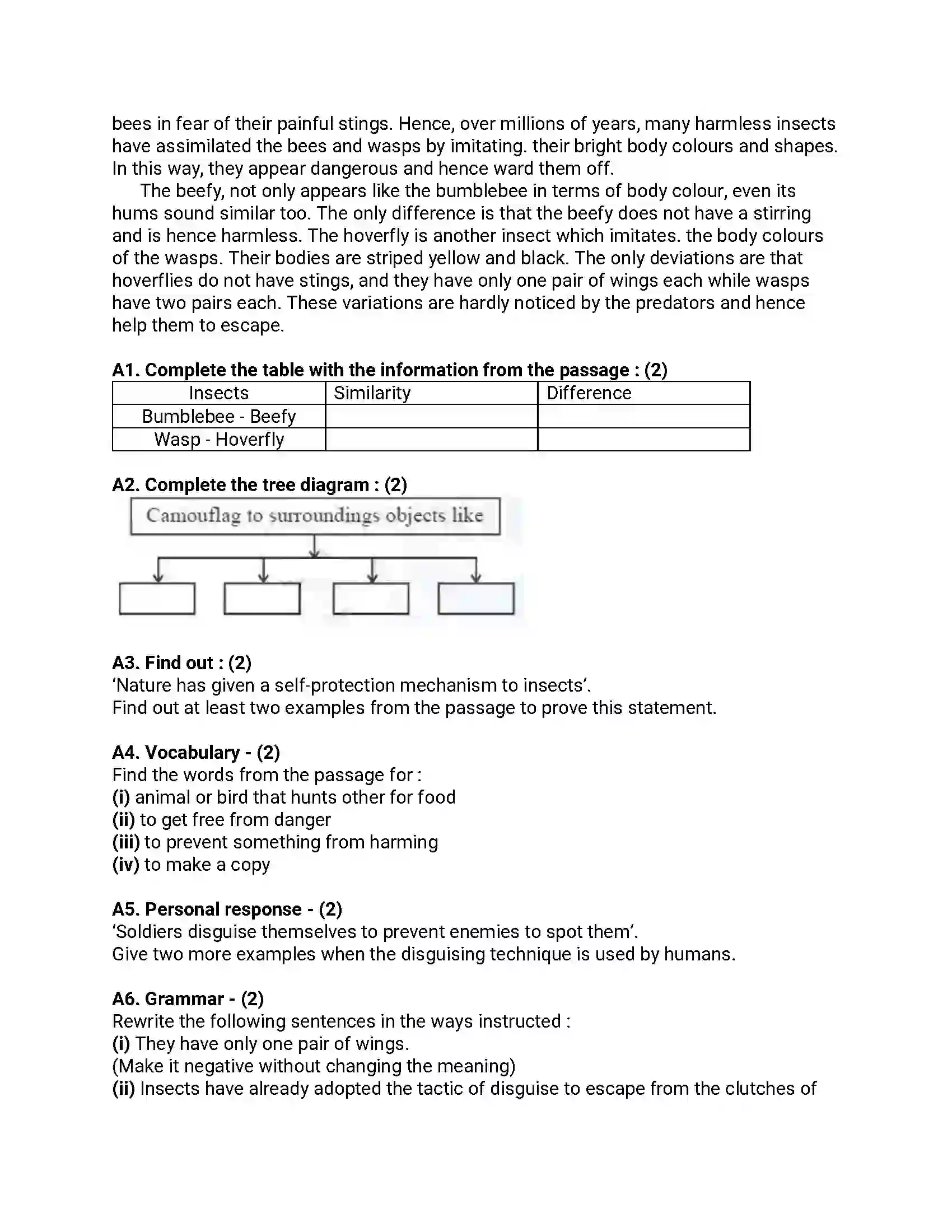 Maharashtra Board Class 12th 2019 English - Feb 2019 - Set-B Previous Year Paper 8
