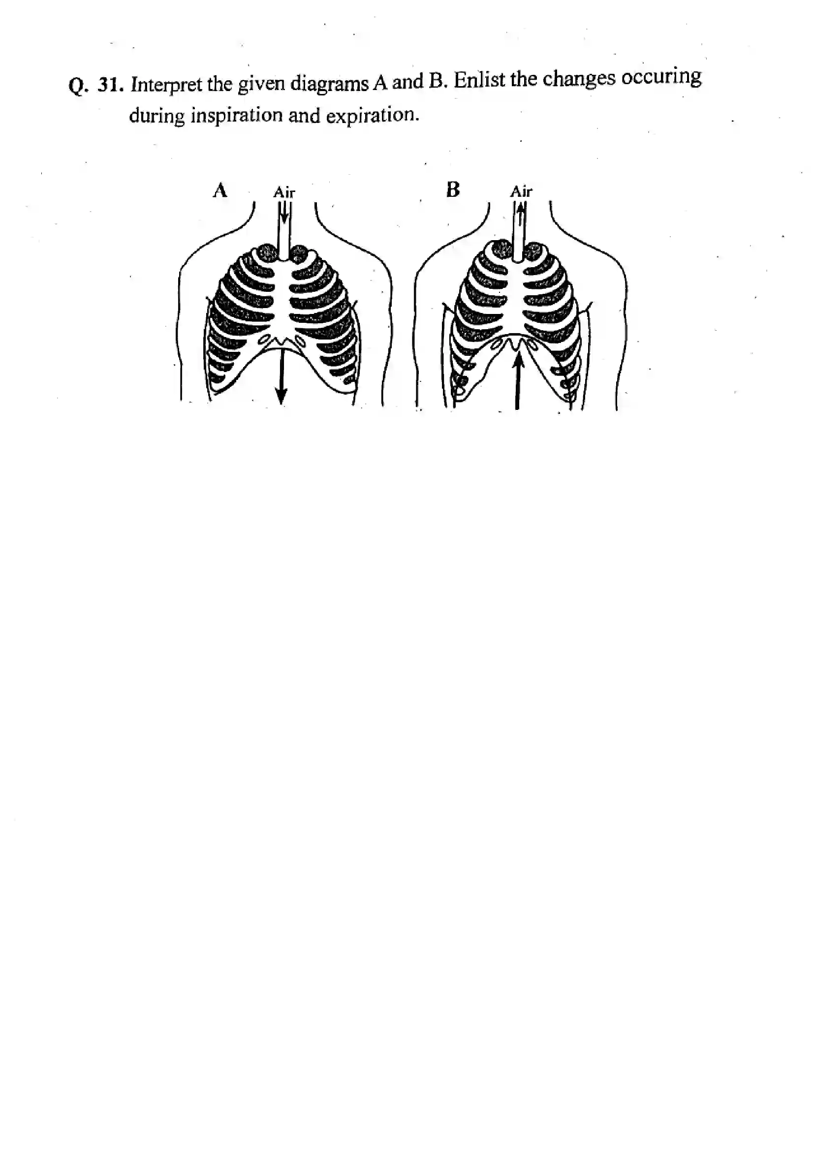 Maharashtra Board Class 12th 2024 Biology Previous Year Paper 8