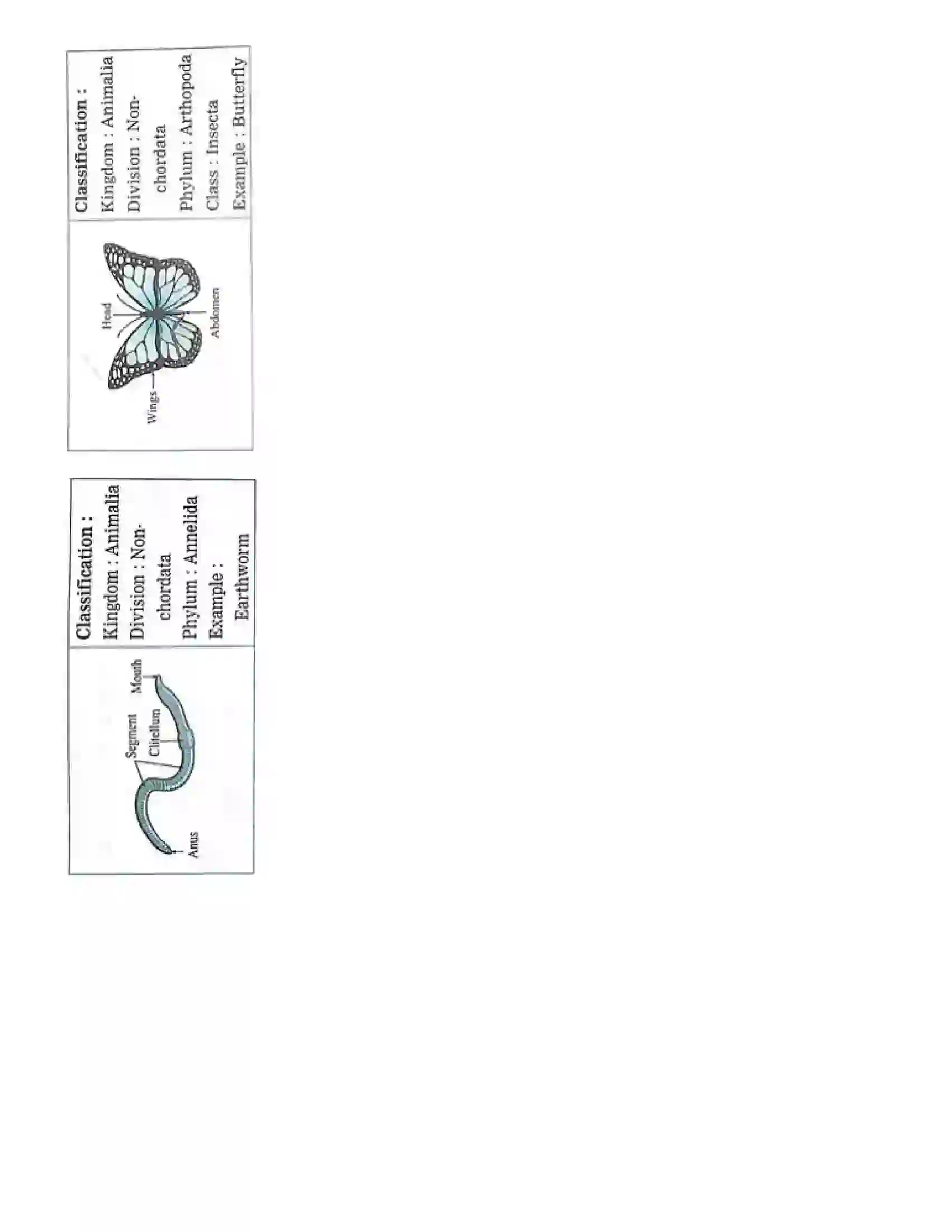 Maharashtra Board Class 10th Science Part - 2 Animal Classification Revision Note 10