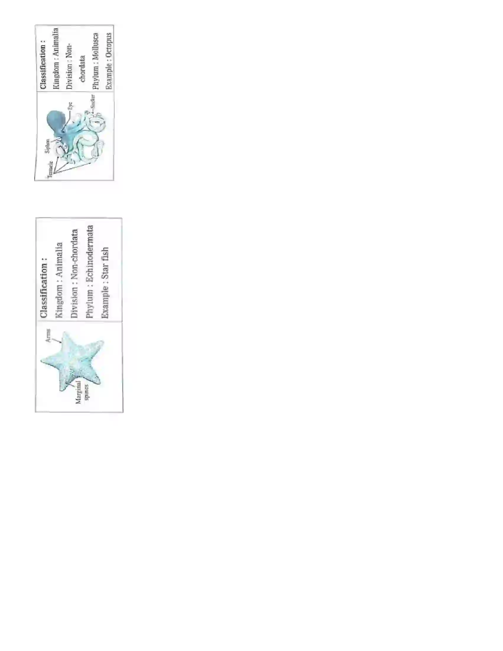 Maharashtra Board Class 10th Science Part - 2 Animal Classification Revision Note 11