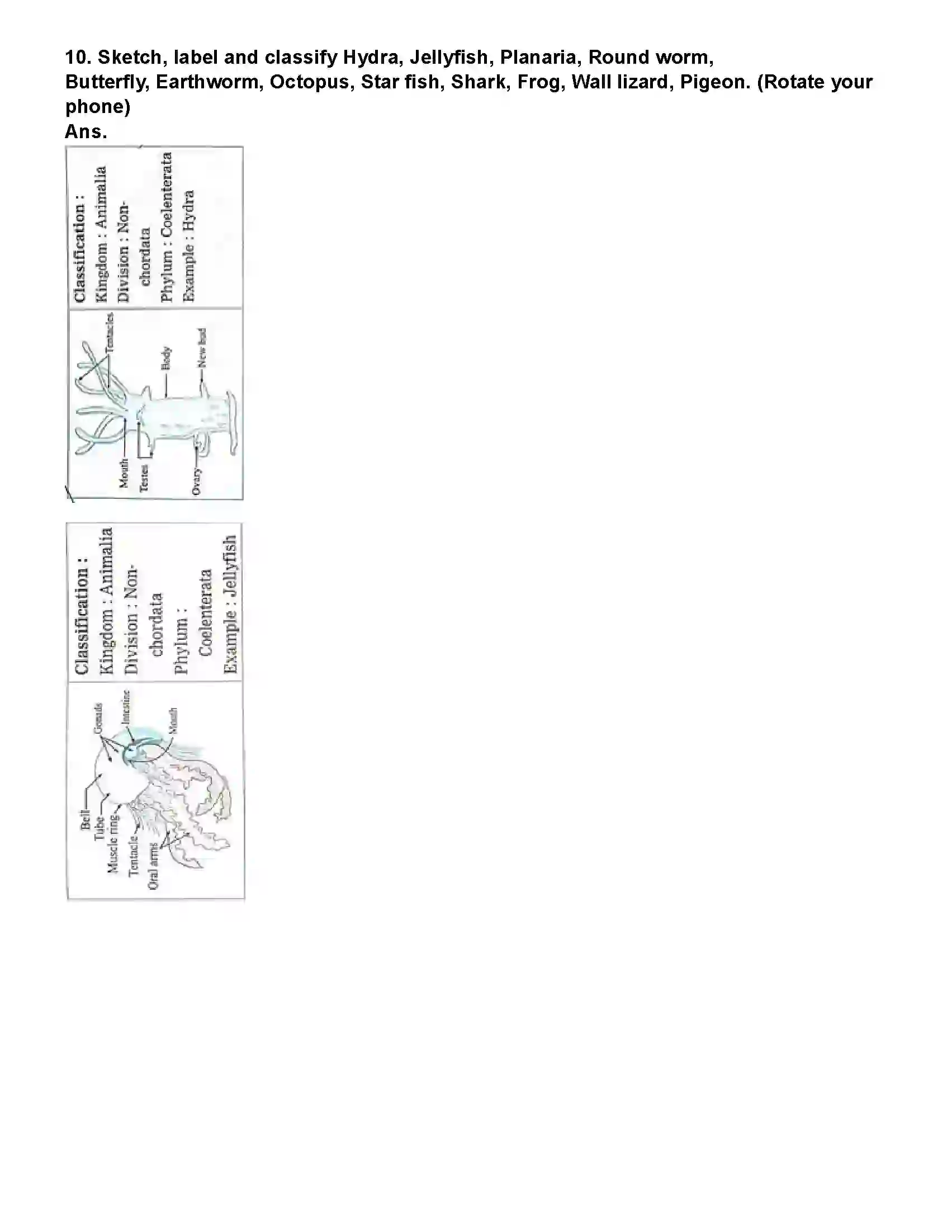 Maharashtra Board Class 10th Science Part - 2 Animal Classification Revision Note 8