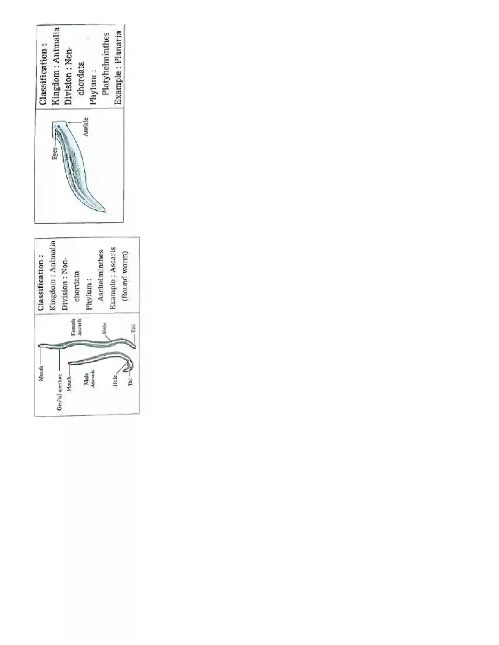 Maharashtra Board Class 10th Science Part - 2 Animal Classification Revision Note 9