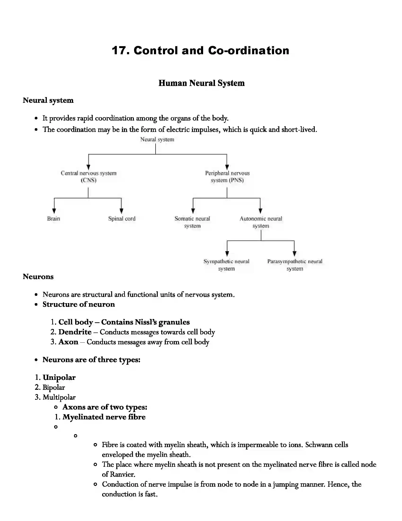 Maharashtra Board Class 12th Biology Control and Co-ordination Revision Note 1