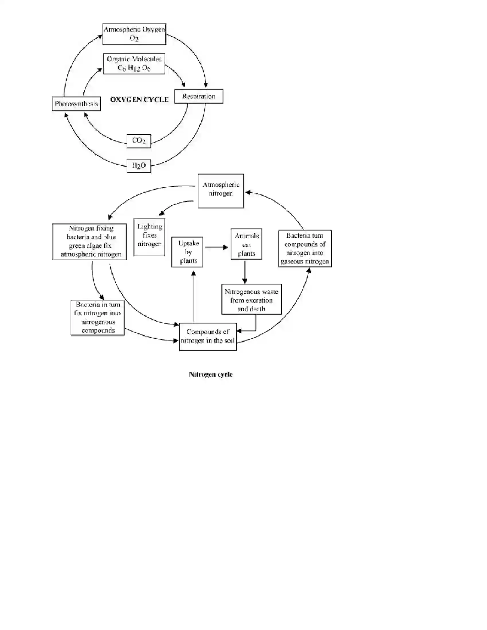 Maharashtra Board Class 9th Science Energy Flow in An Ecosystem Revision Note 3