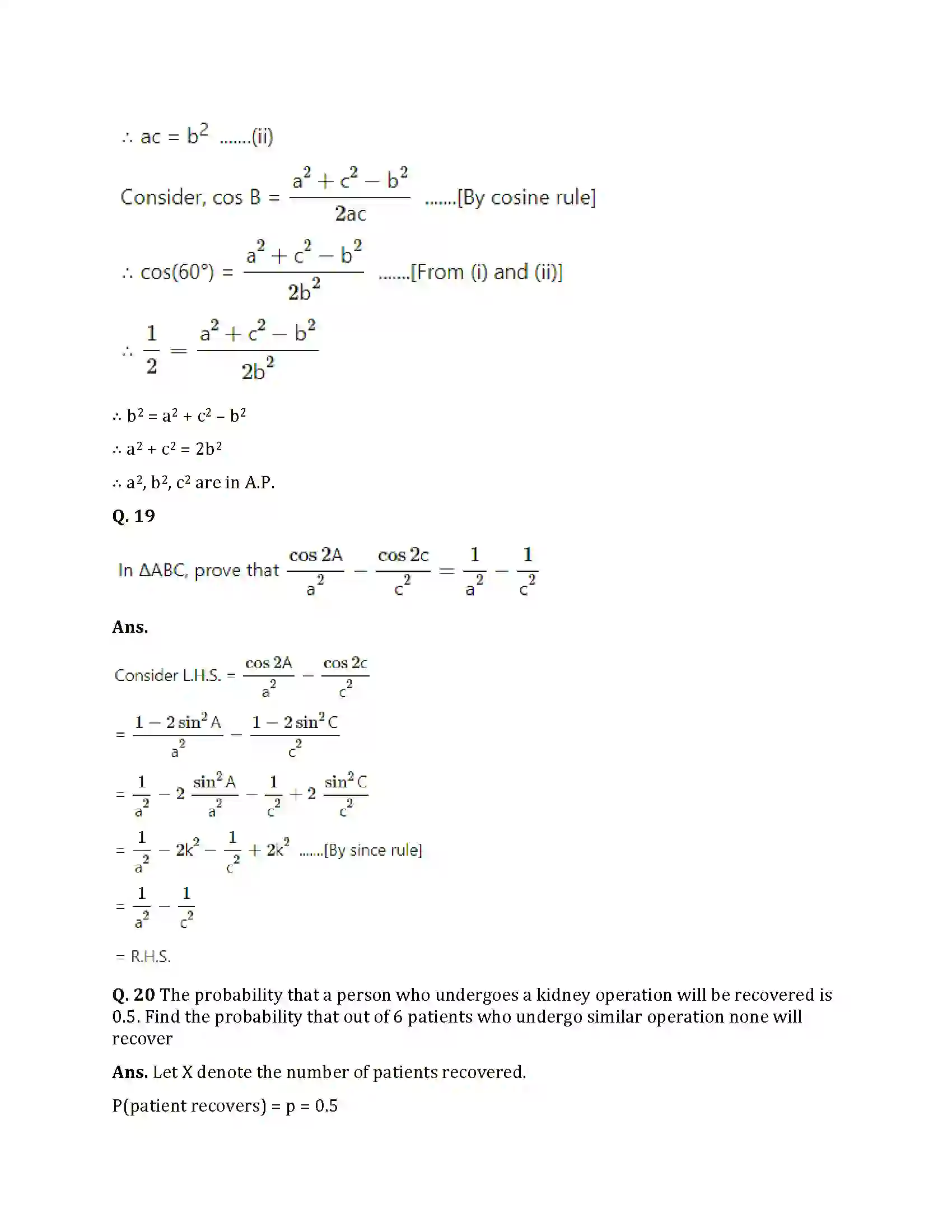 Maharashtra Board Class 12th 2021 Maths Sample Paper 19
