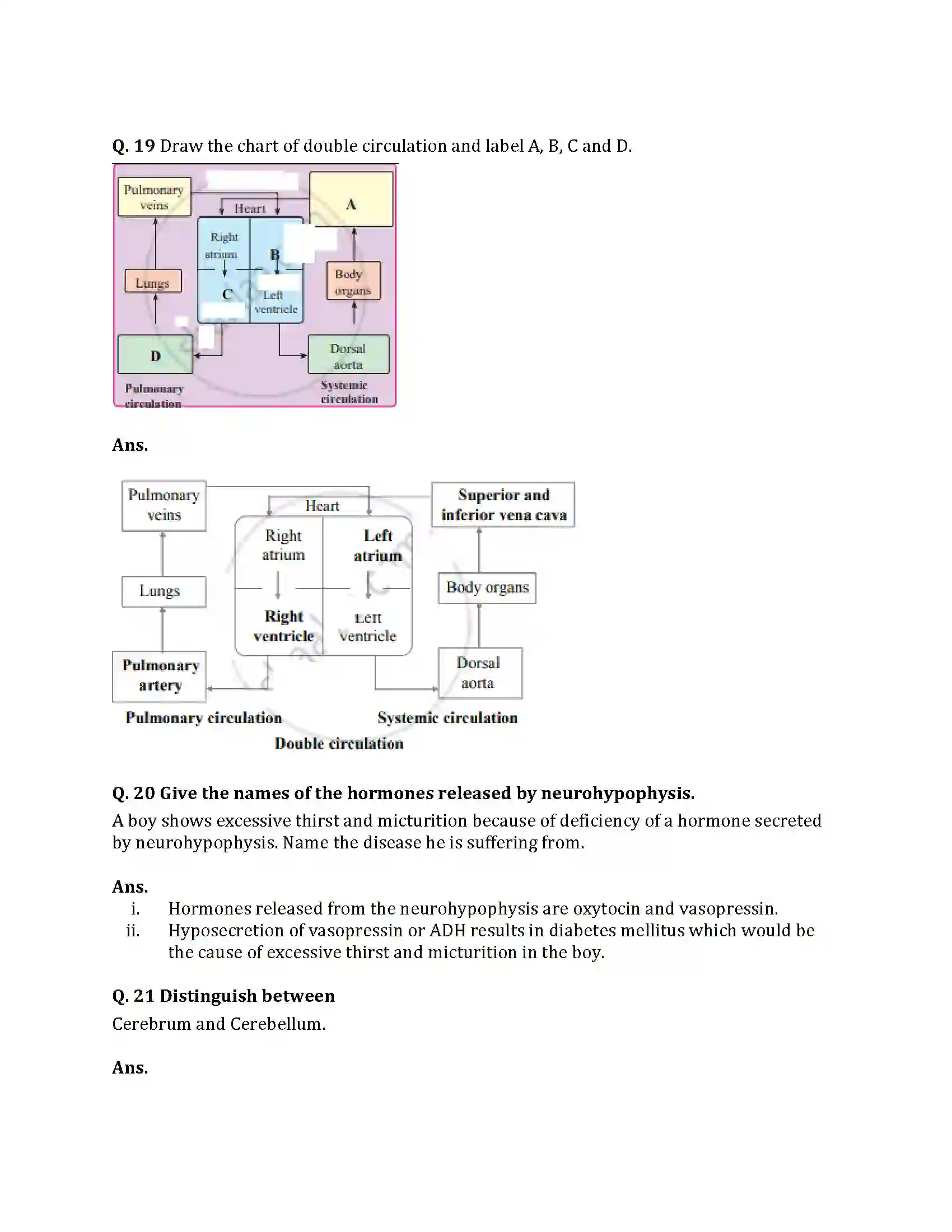 Maharashtra Board Class 12th 2021 Biology Sample Paper 9