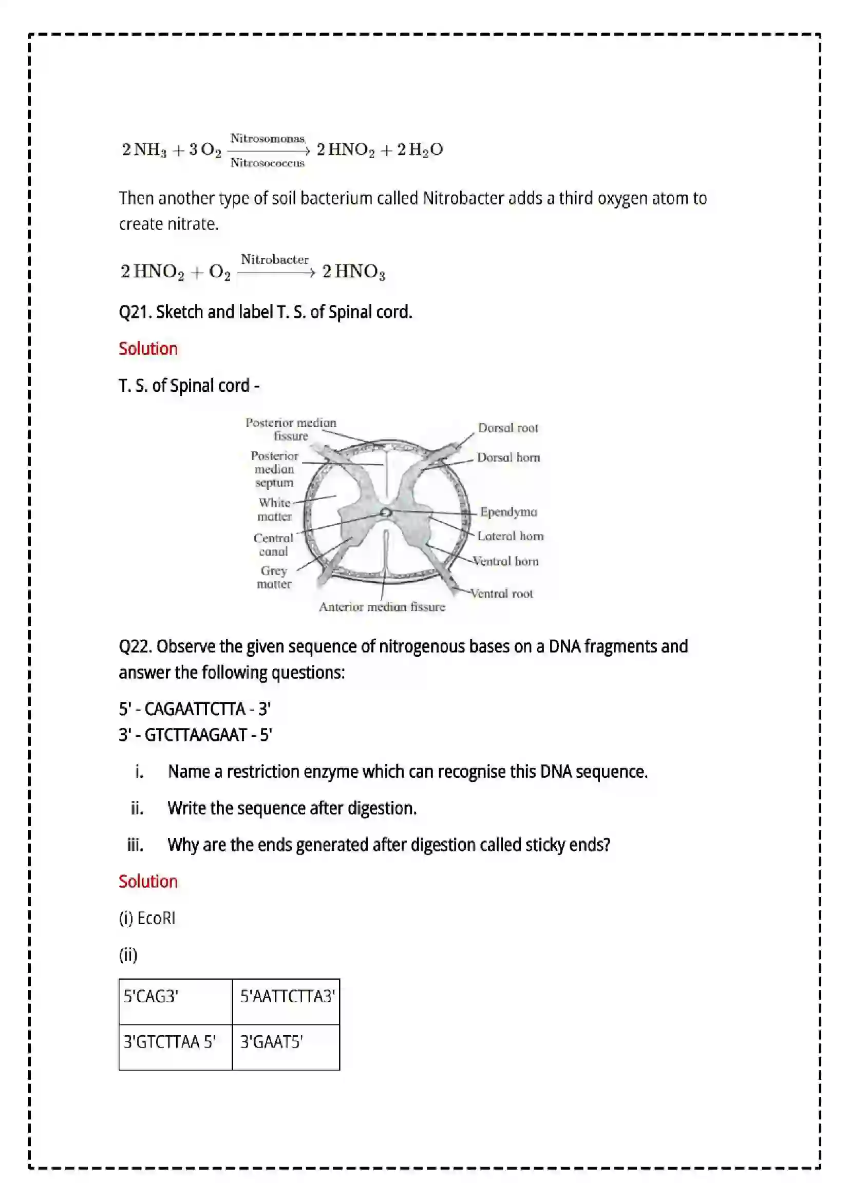 Maharashtra Board Class 12th 2025 Biology Set - 2 - Sample Paper 15