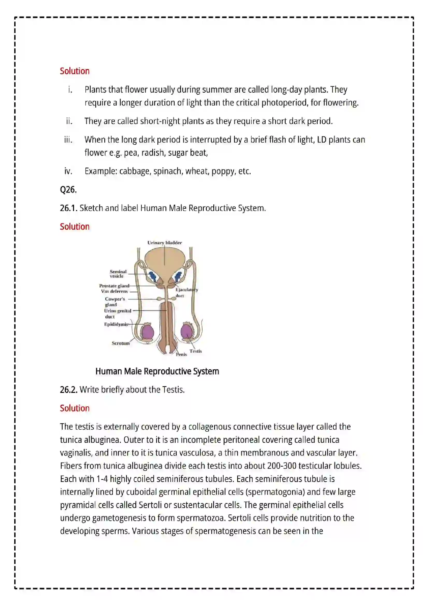 Maharashtra Board Class 12th 2025 Biology Set - 2 - Sample Paper 17