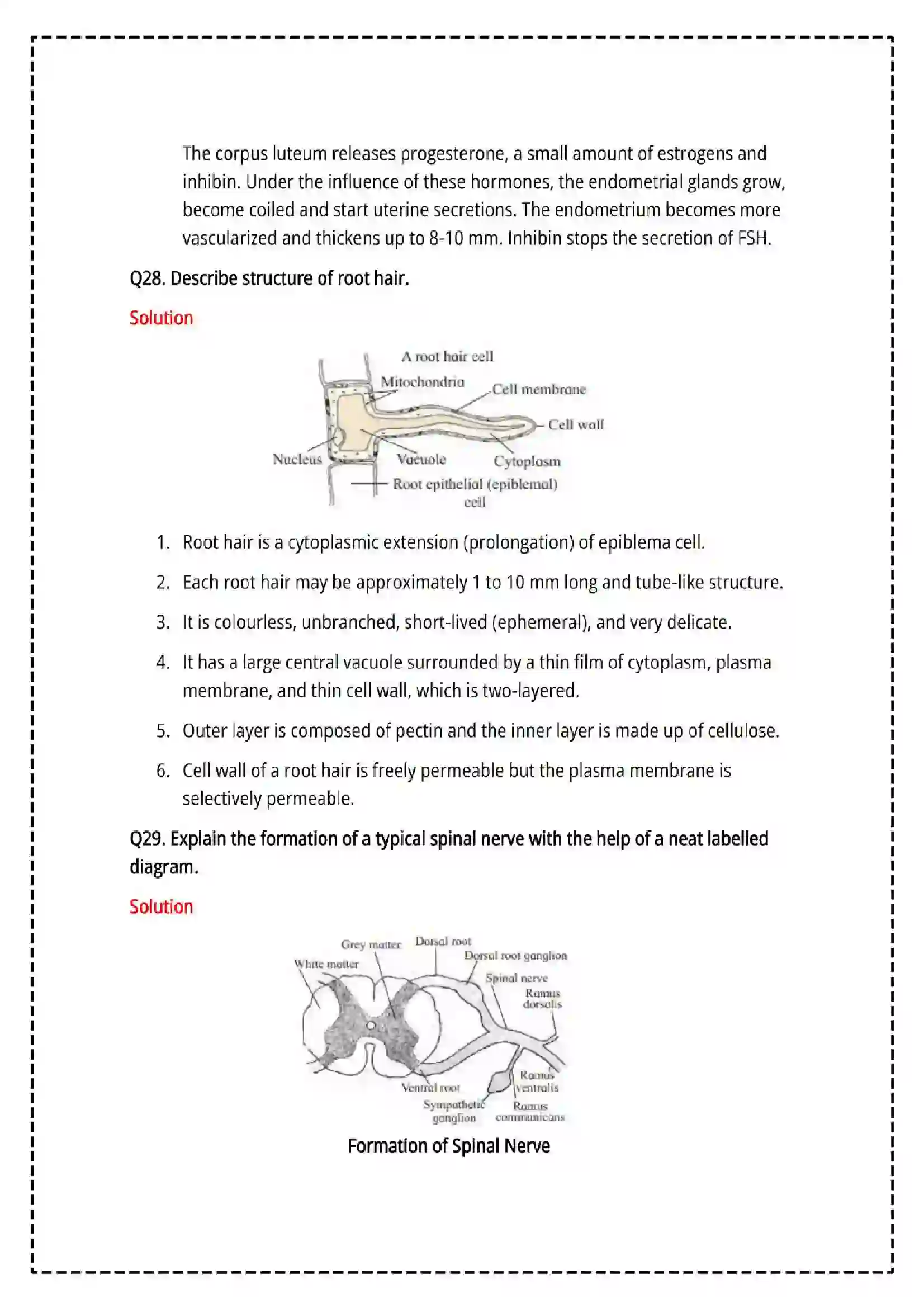 Maharashtra Board Class 12th 2025 Biology Set - 2 - Sample Paper 19
