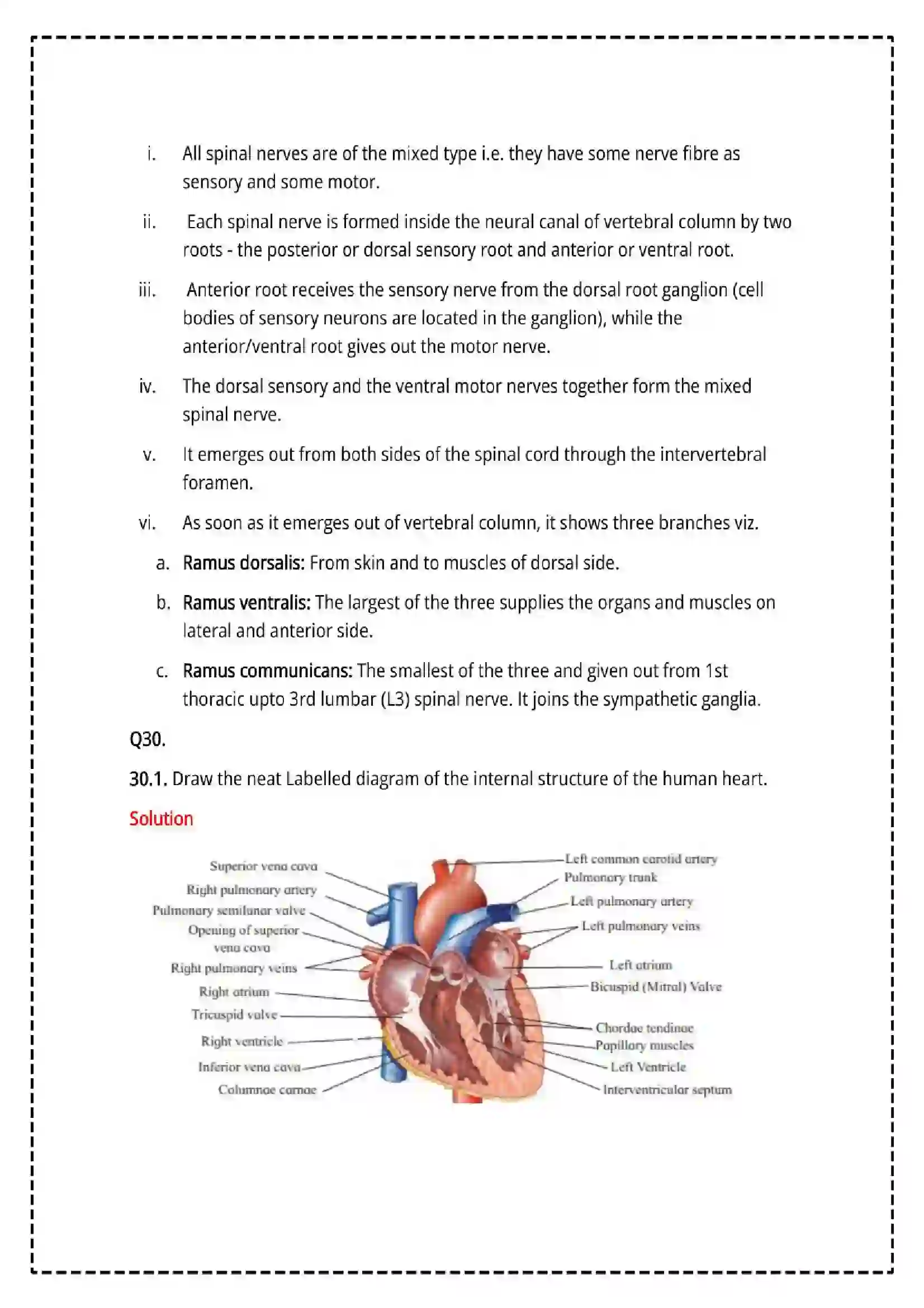 Maharashtra Board Class 12th 2025 Biology Set - 2 - Sample Paper 20