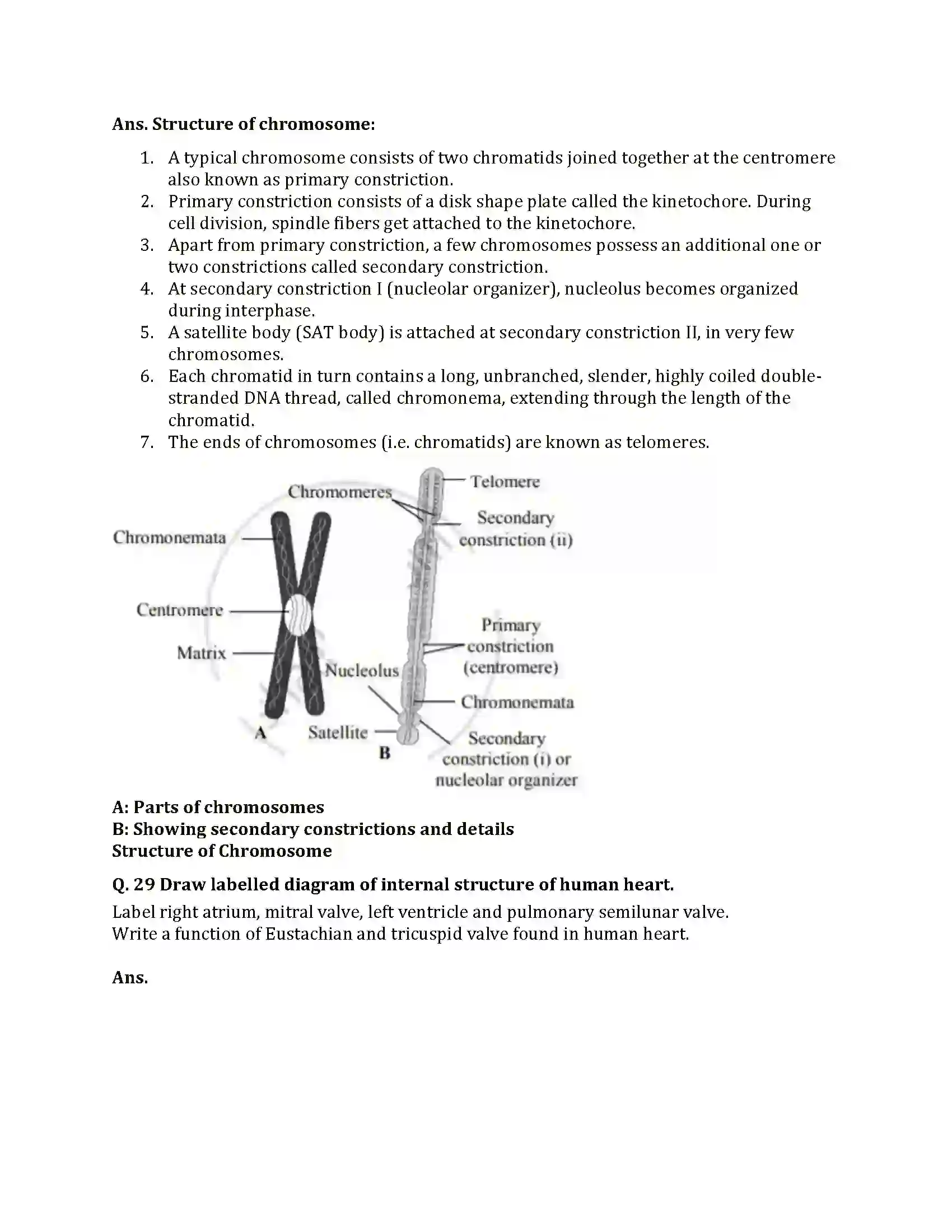 Maharashtra Board Class 12th 2025 Biology Sample Paper 16