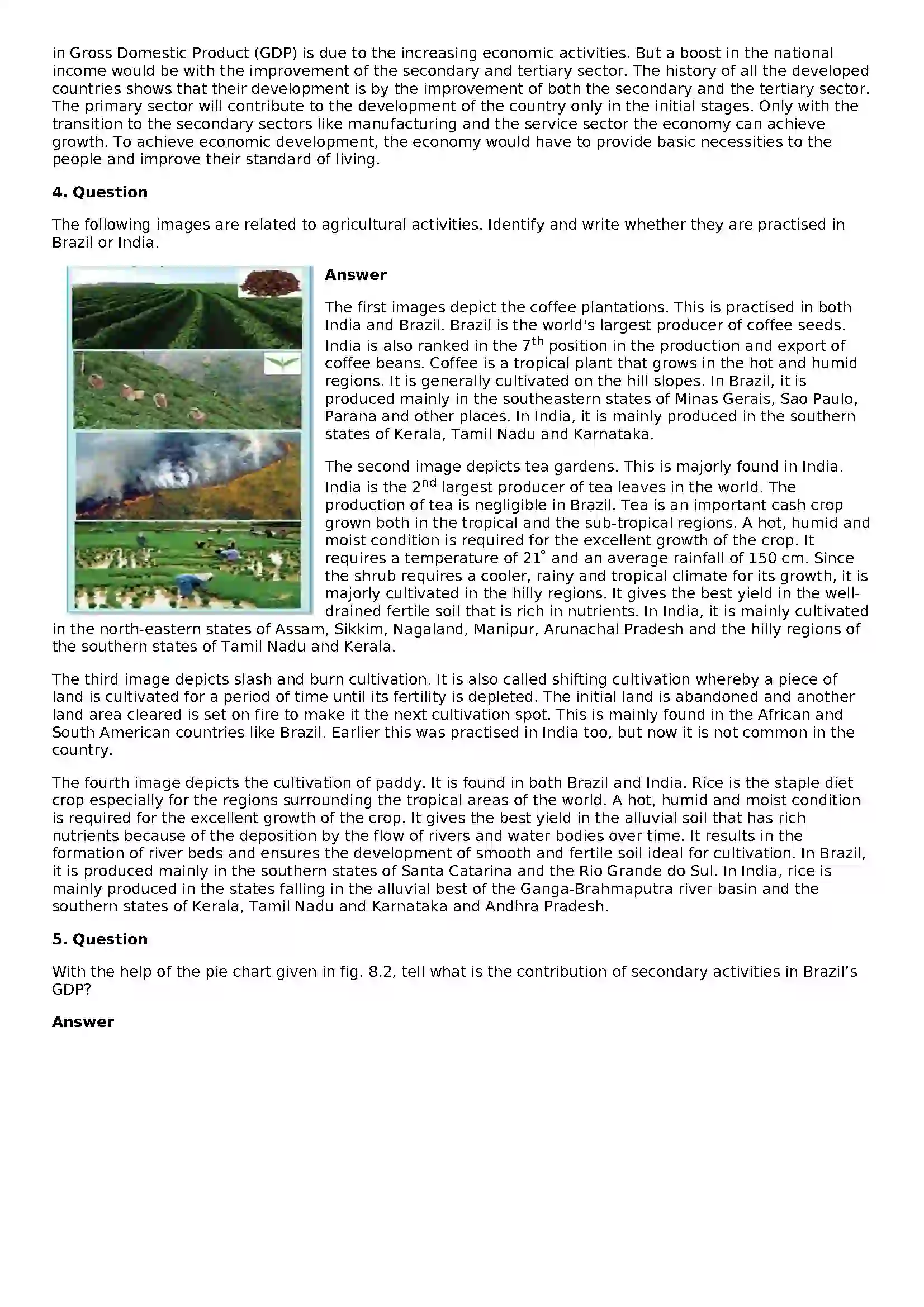 Maharashtra Board Class 10th Geography - English Medium Economy and Occupations Solution 10