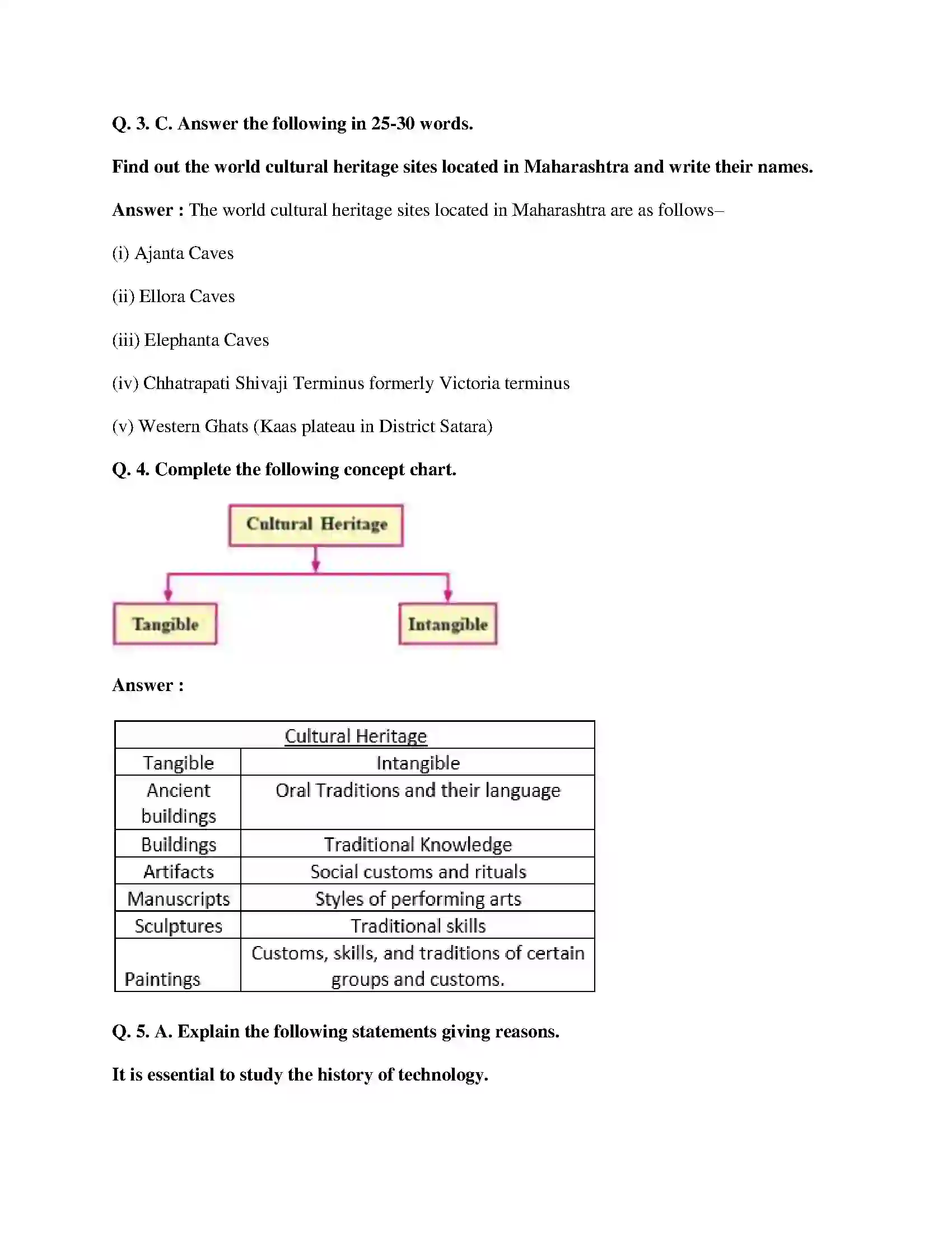 Maharashtra Board Class 10th History - English Medium Applied History Solution 3