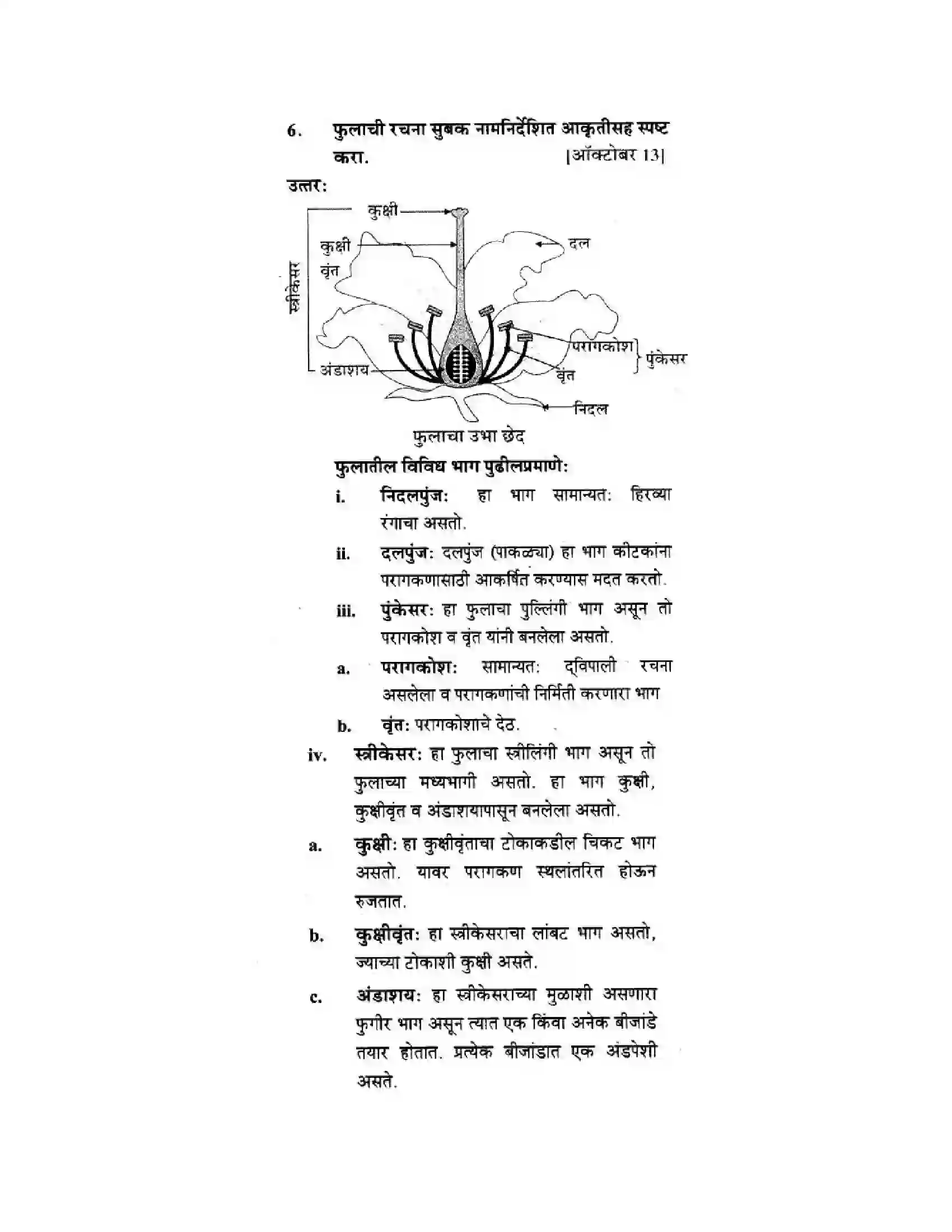 Maharashtra Board Class 10th Science & Technology - Marathi Medium The Life Cycle Solution 16