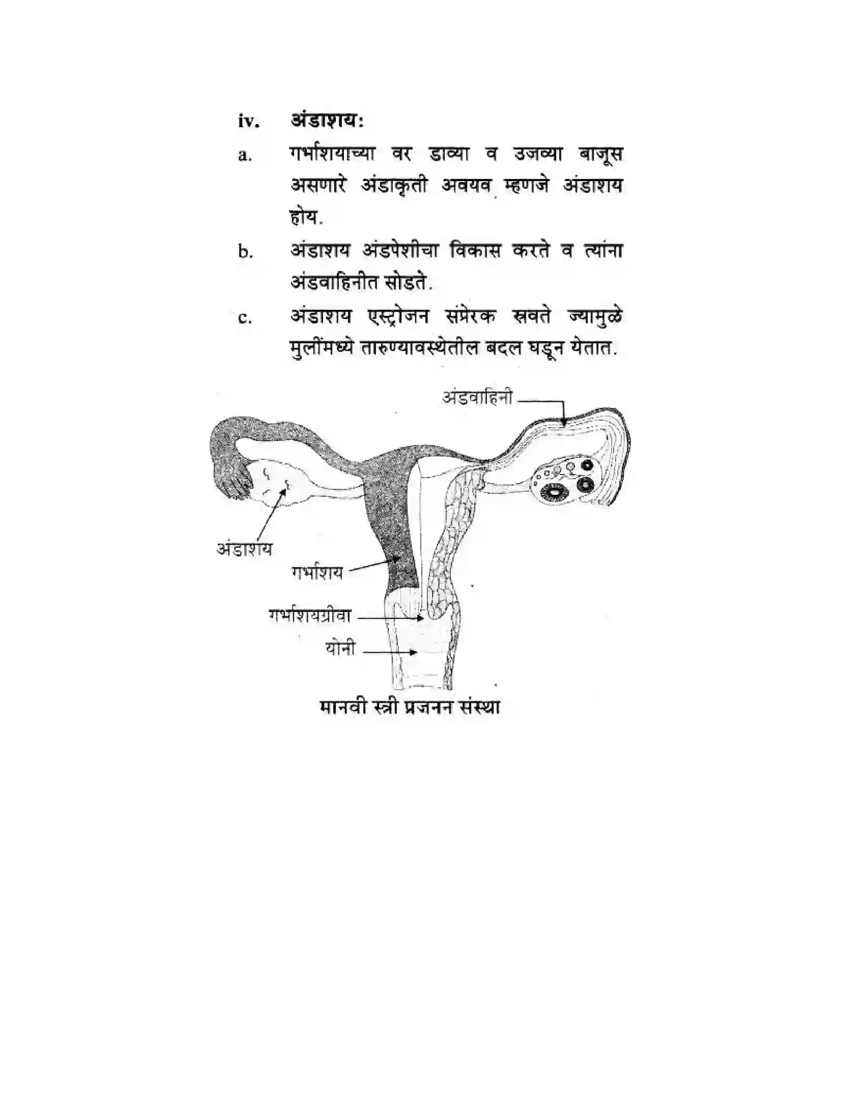 Maharashtra Board Class 10th Science & Technology - Marathi Medium The Life Cycle Solution 21