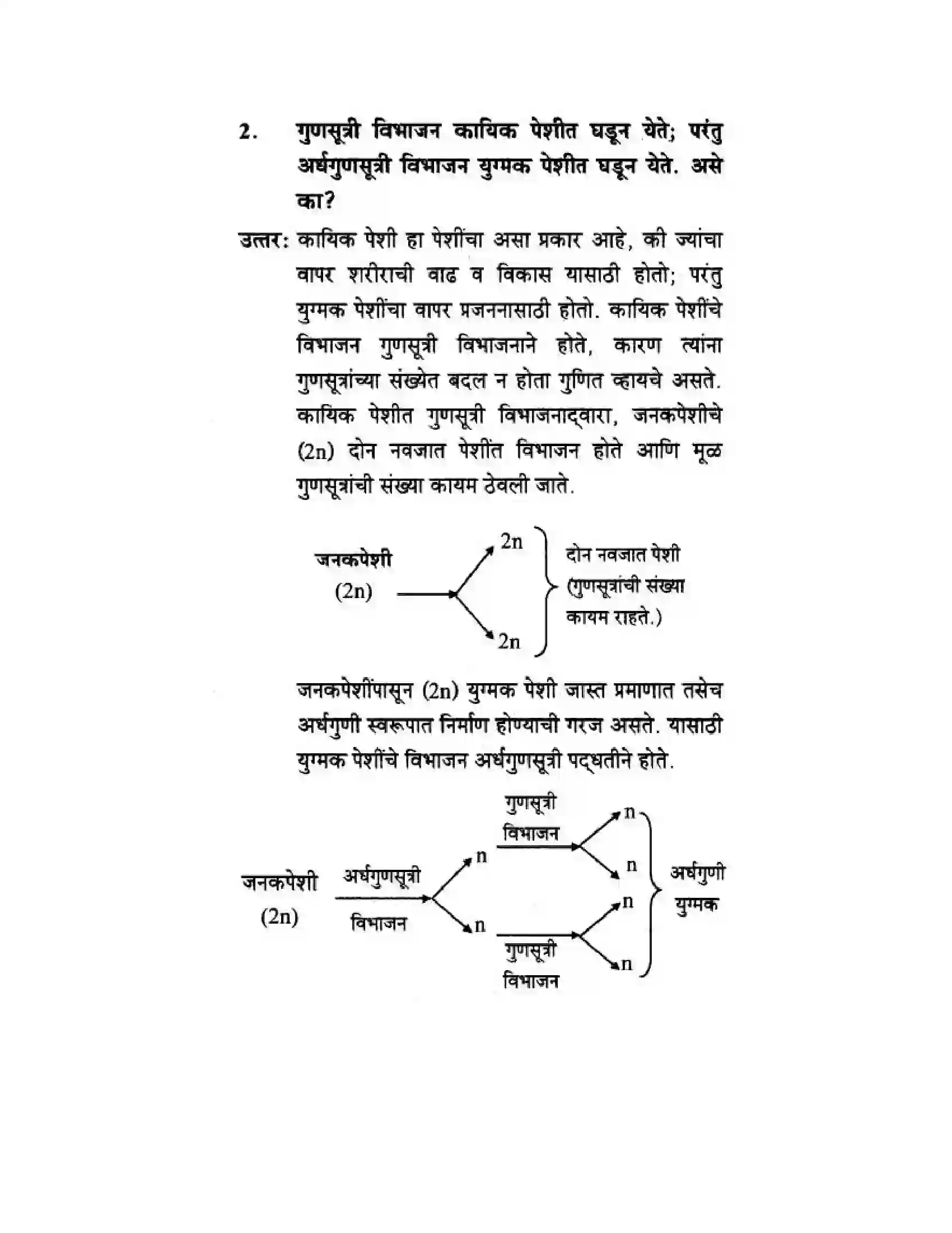 Maharashtra Board Class 10th Science & Technology - Marathi Medium The Life Cycle Solution 50