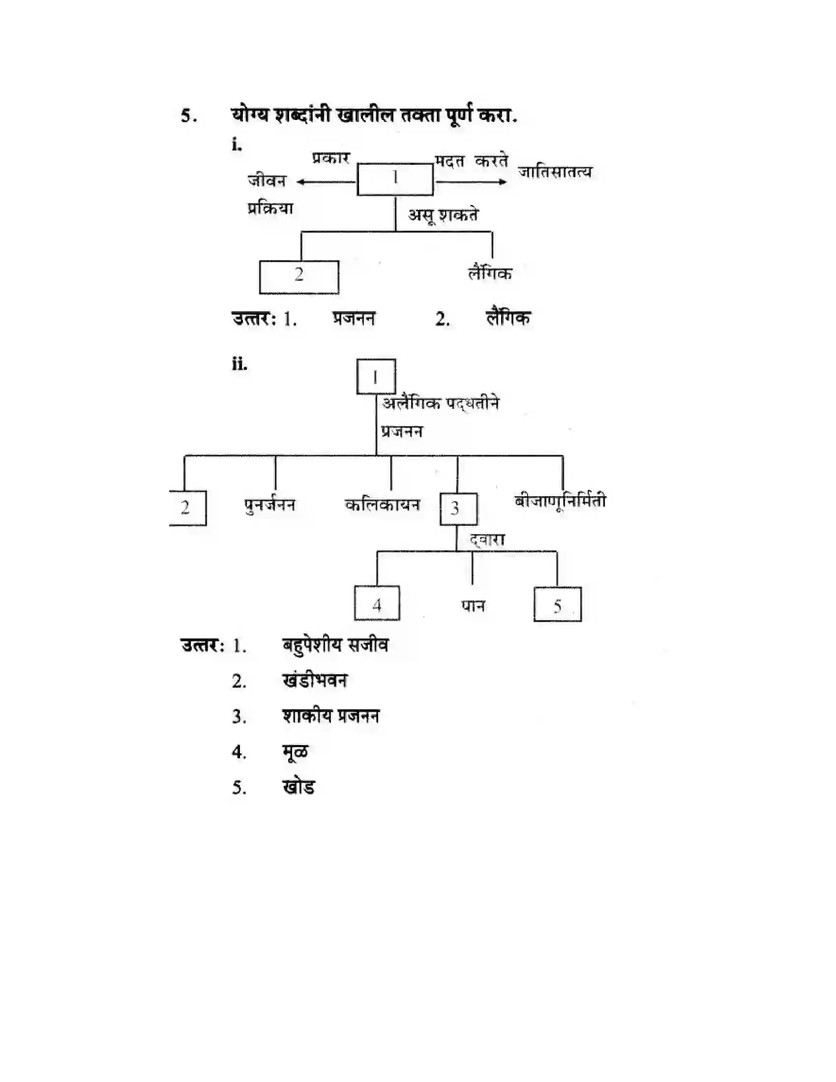 Maharashtra Board Class 10th Science & Technology - Marathi Medium The Life Cycle Solution 52