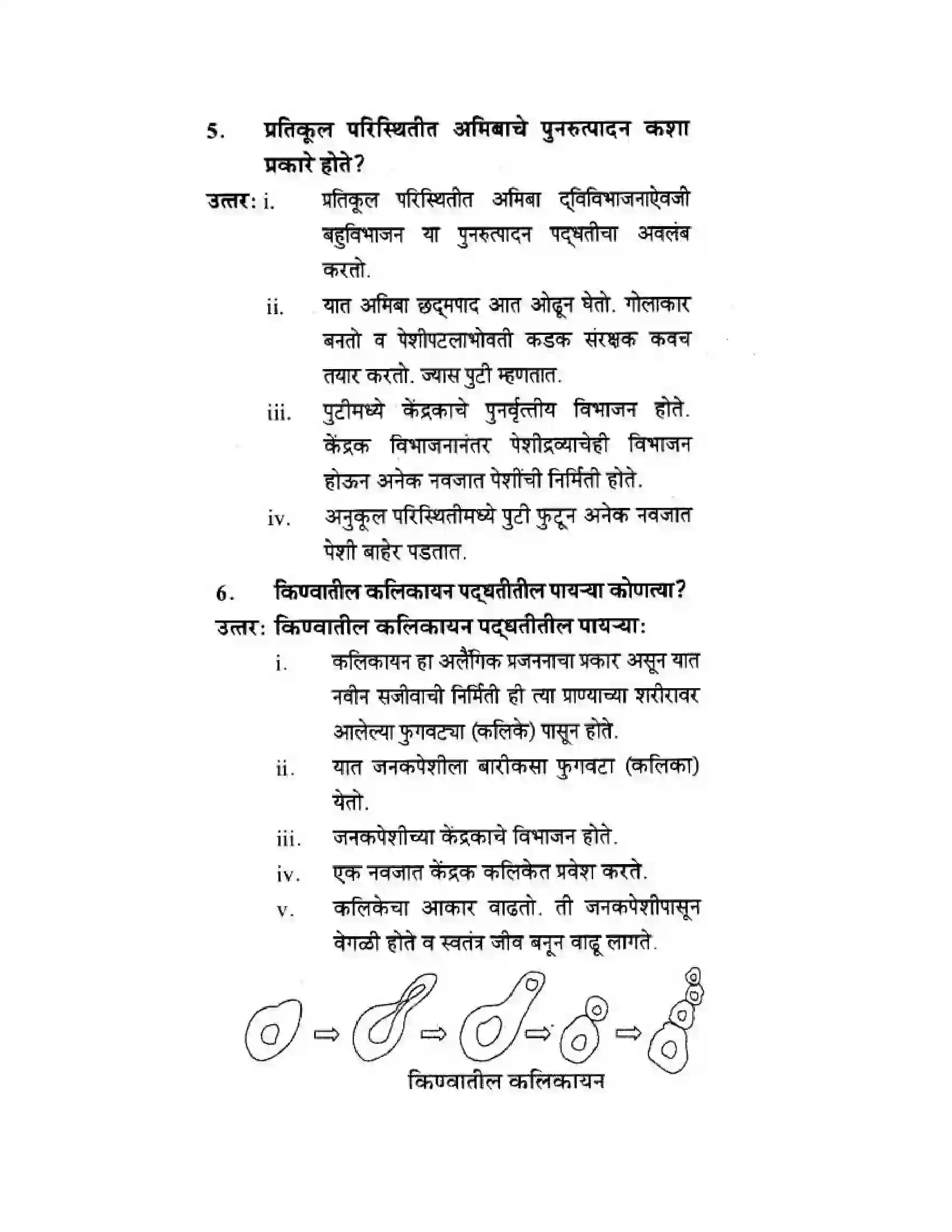Maharashtra Board Class 10th Science & Technology - Marathi Medium The Life Cycle Solution 6
