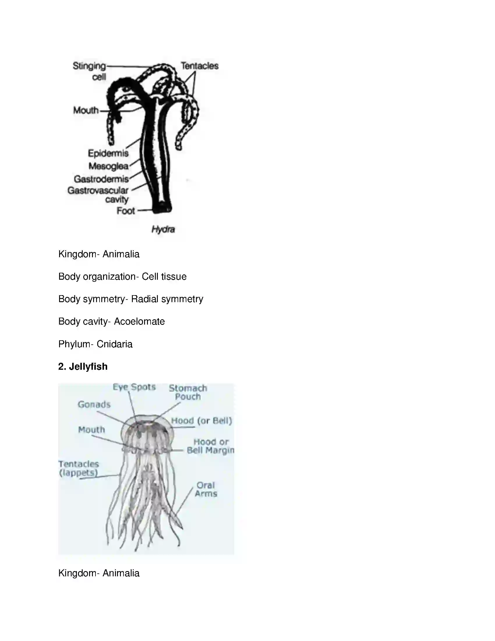 Maharashtra Board Class 10th Science & Technology-II - English Medium Animal Classification Solution 10