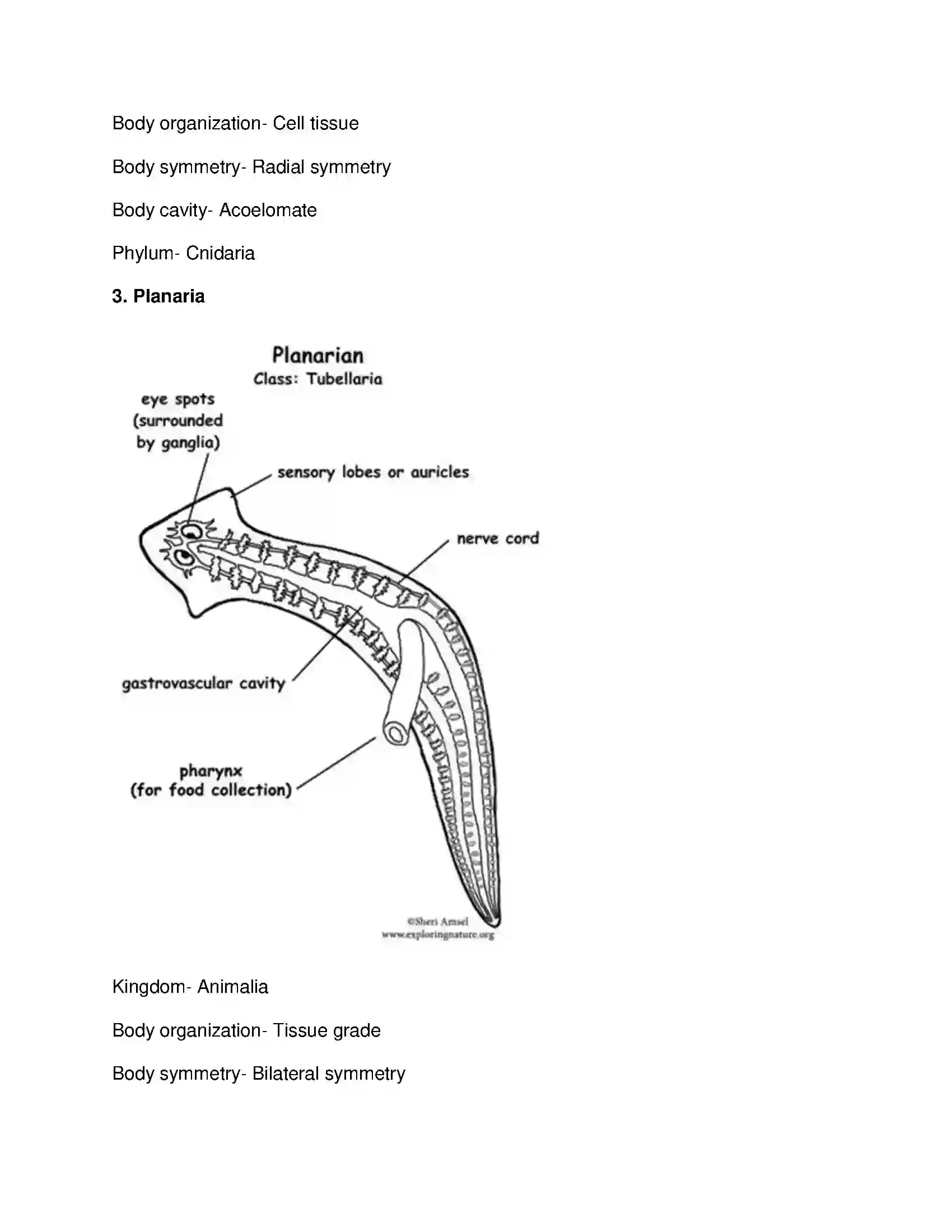 Maharashtra Board Class 10th Science & Technology-II - English Medium Animal Classification Solution 11
