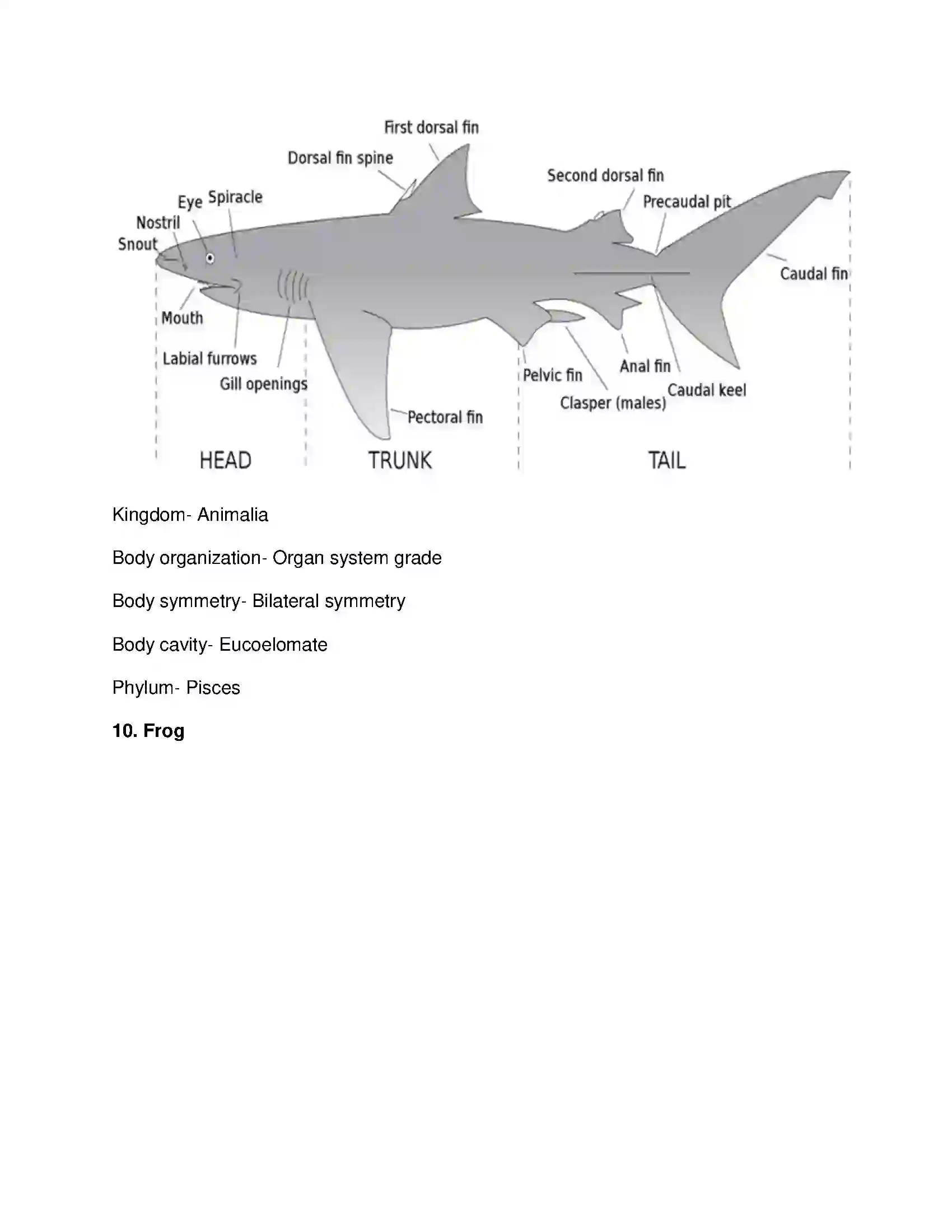 Maharashtra Board Class 10th Science & Technology-II - English Medium Animal Classification Solution 17