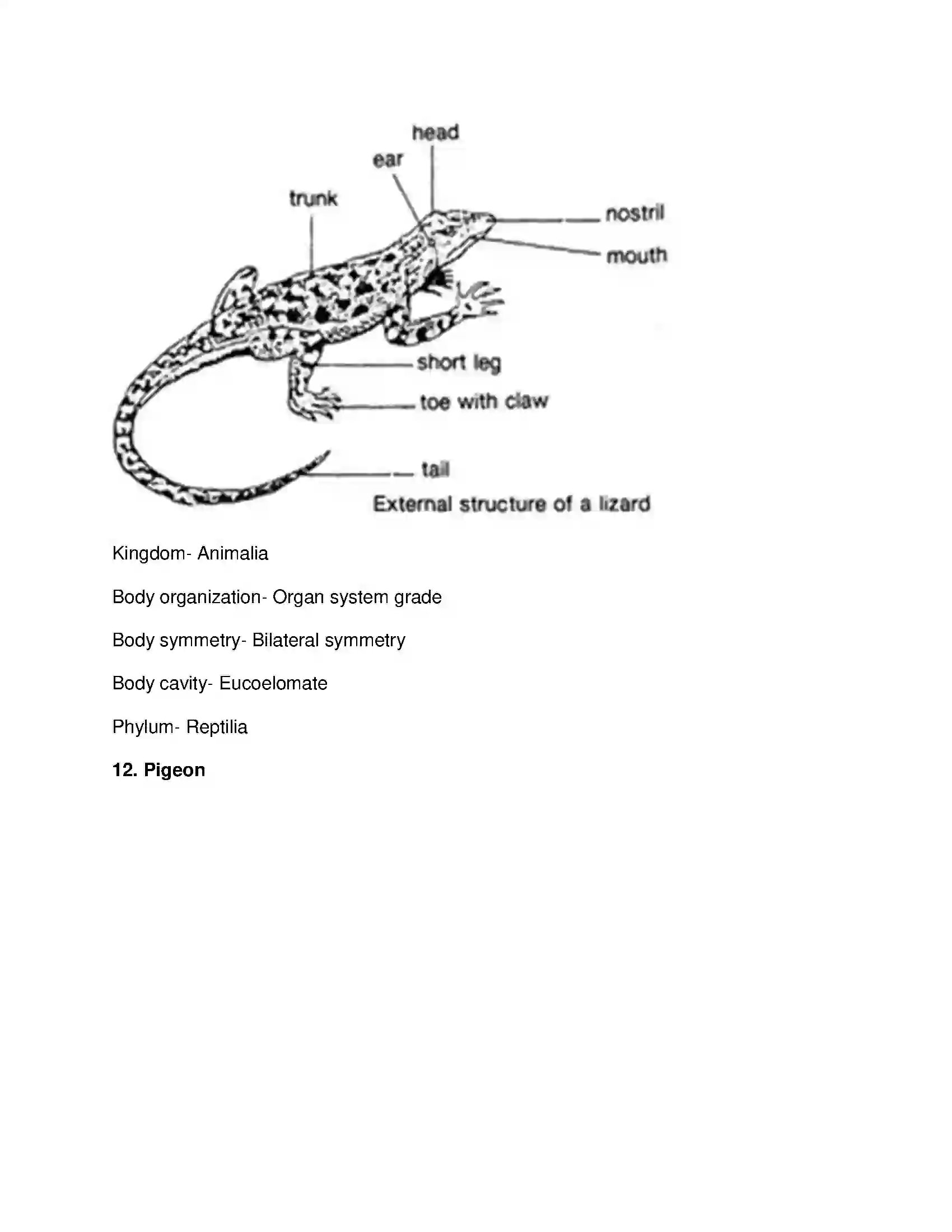 Maharashtra Board Class 10th Science & Technology-II - English Medium Animal Classification Solution 19