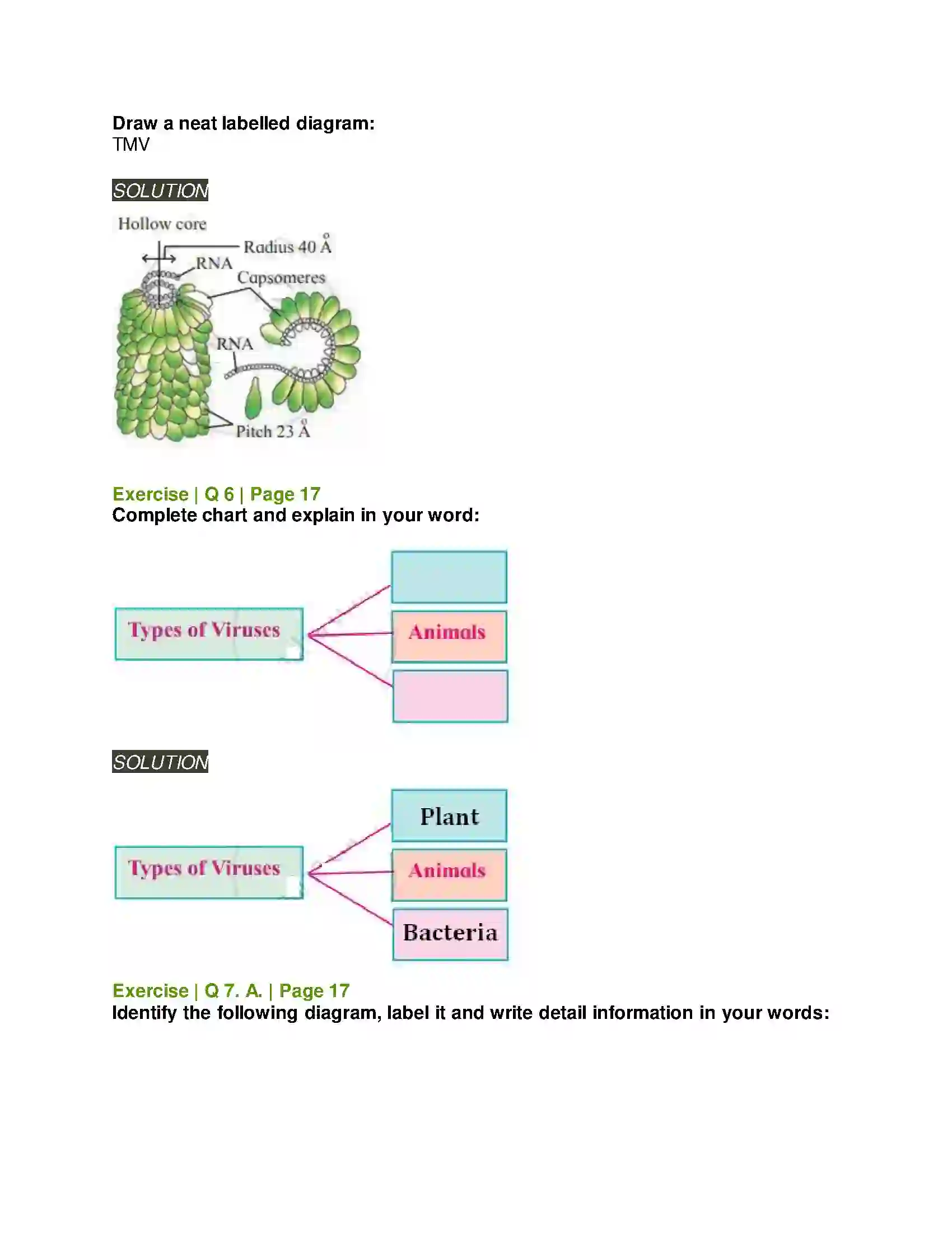 Maharashtra Board Class 11th Biology Systematics of Living Organisms Solution 7