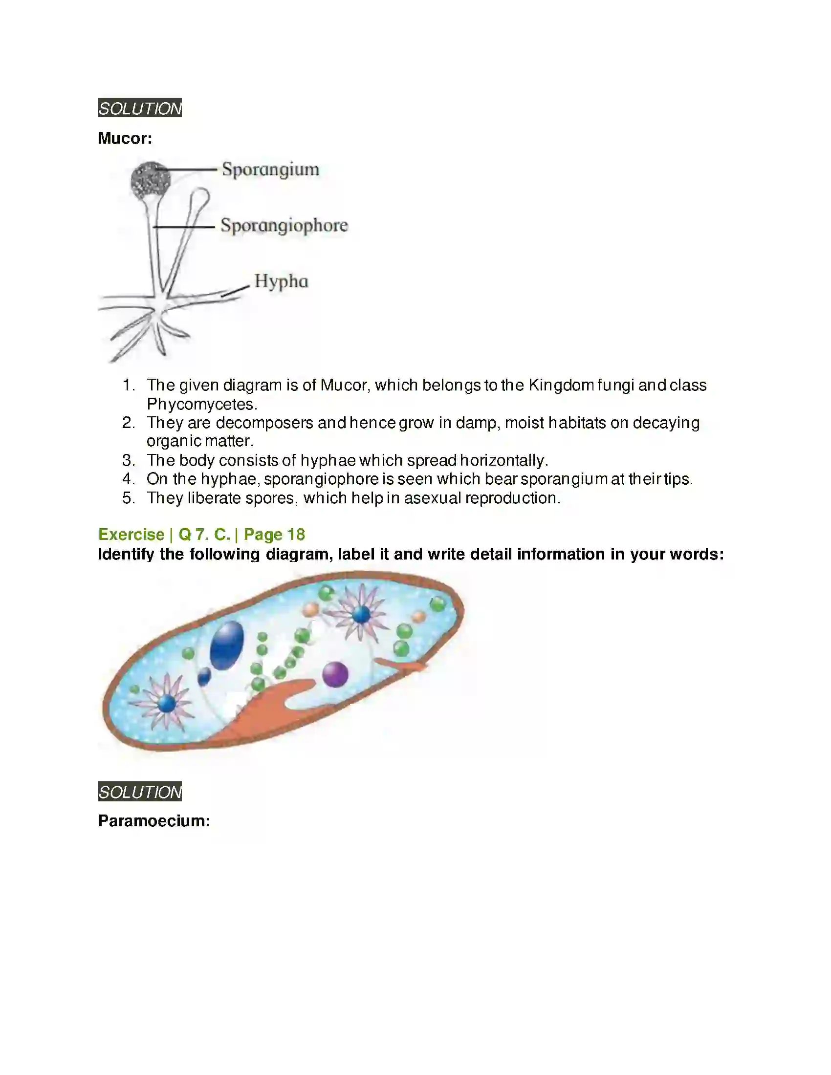 Maharashtra Board Class 11th Biology Systematics of Living Organisms Solution 9