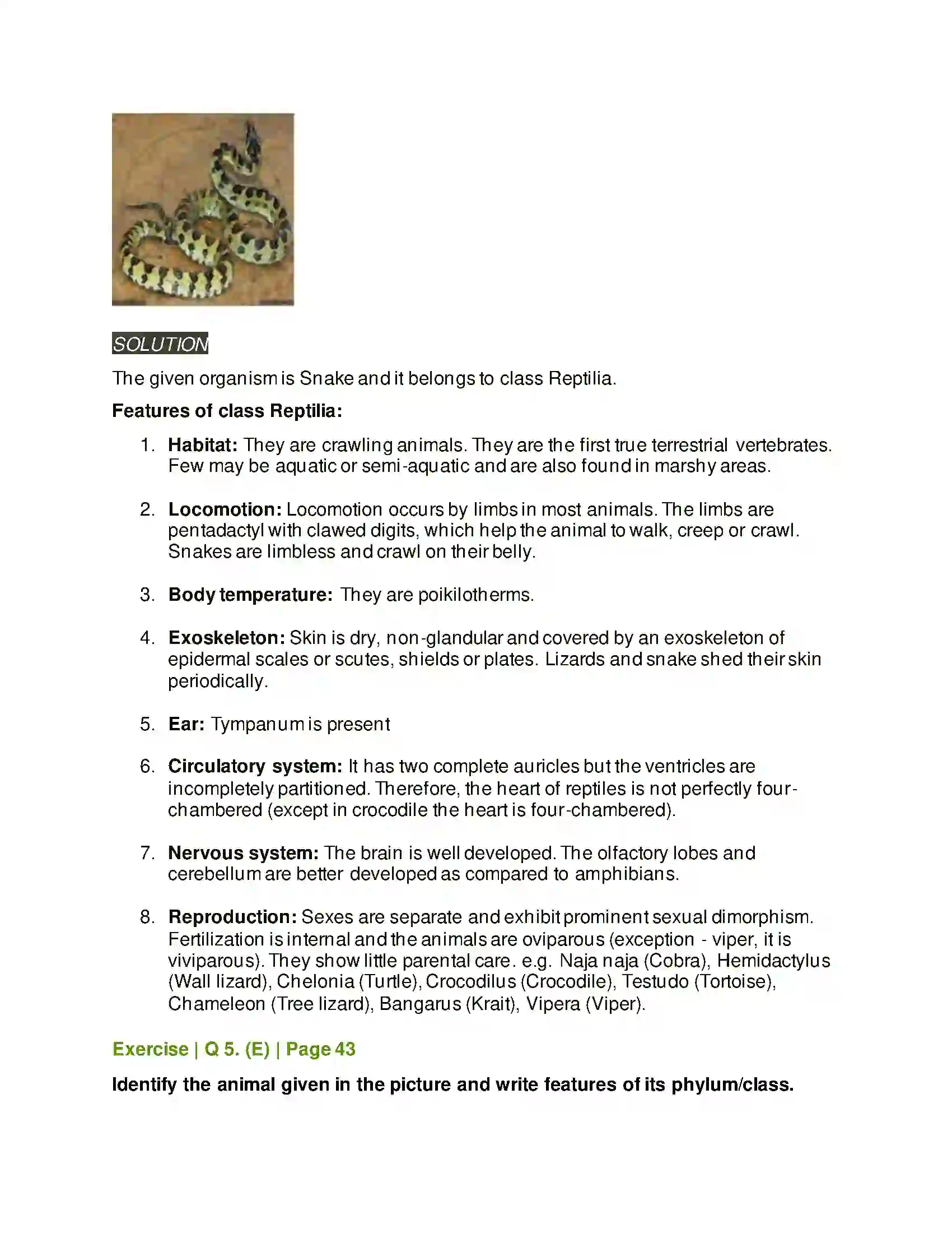 Maharashtra Board Class 11th Biology Kingdom Animalia Solution 10