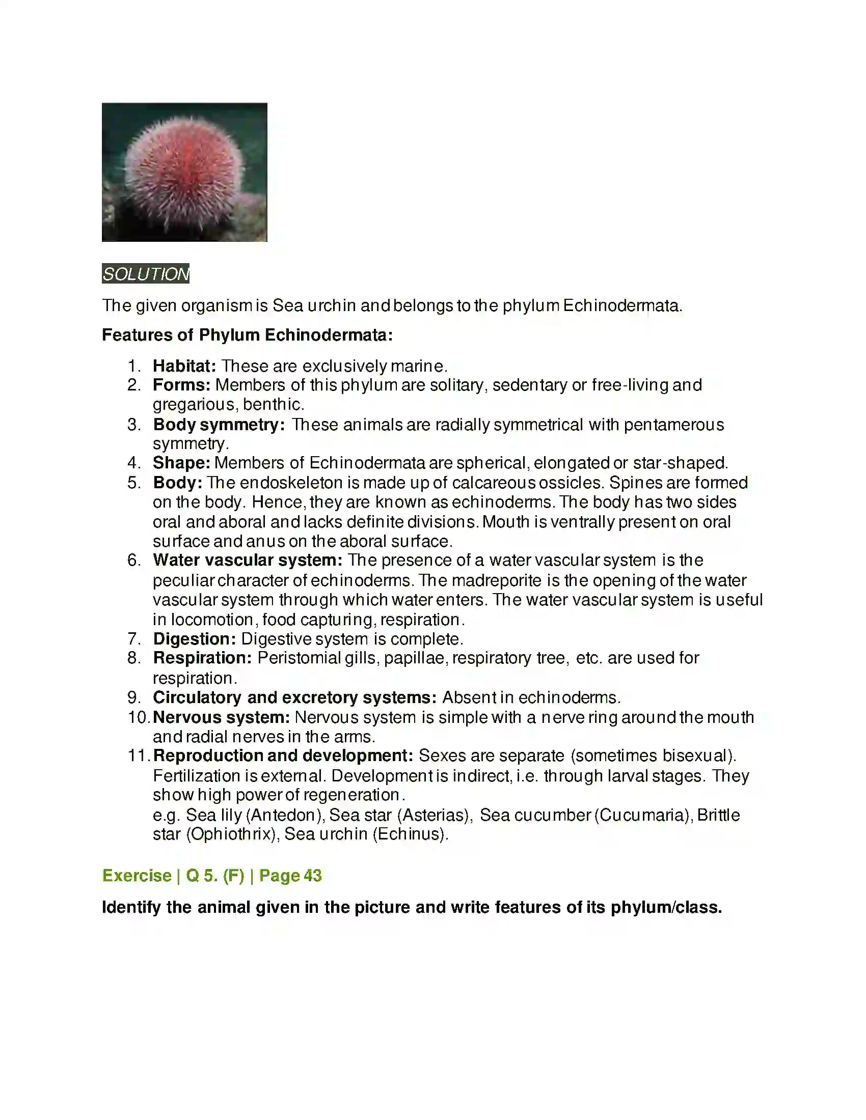 Maharashtra Board Class 11th Biology Kingdom Animalia Solution 11